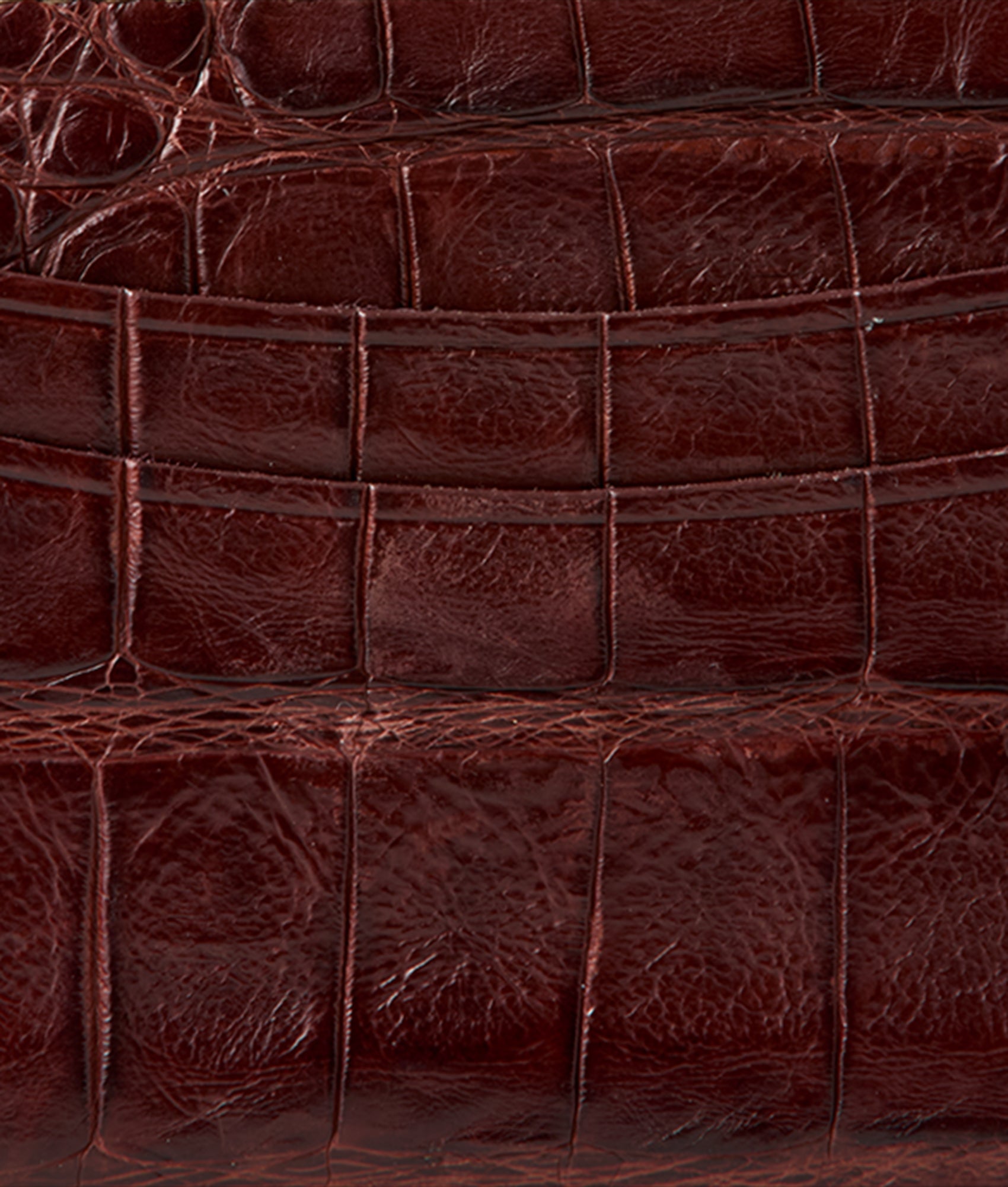 Credit Card Case – Crocodile :: Sienna - Image 3