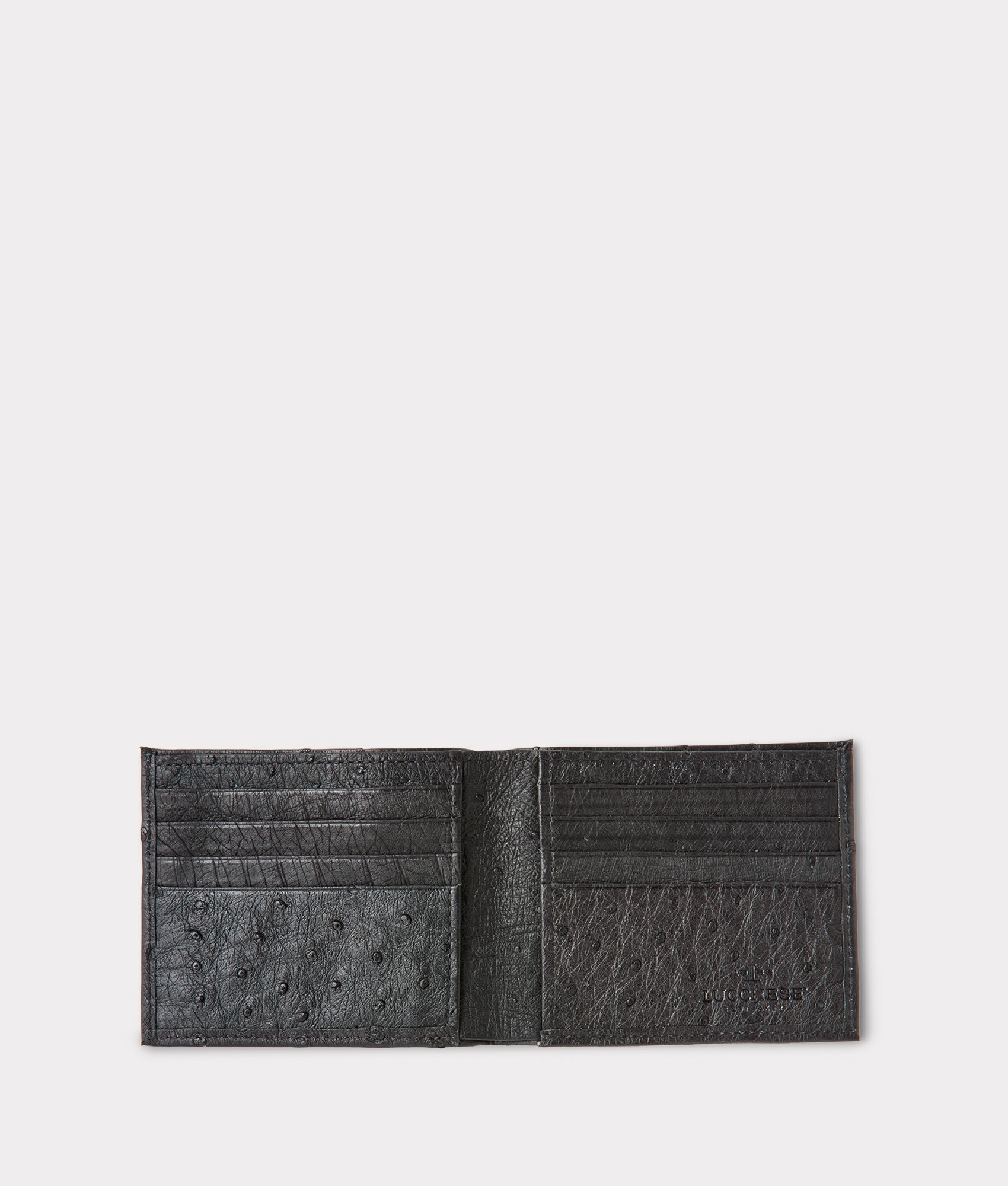 Hipster Wallet – Ostrich :: Black - Image 3