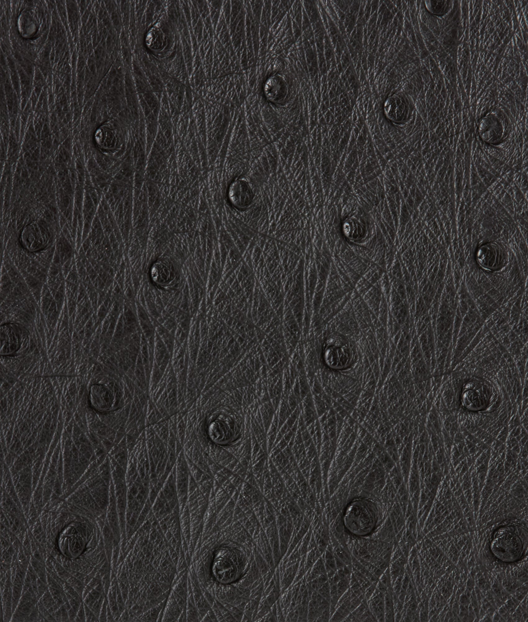 Hipster Wallet – Ostrich :: Black - Image 4