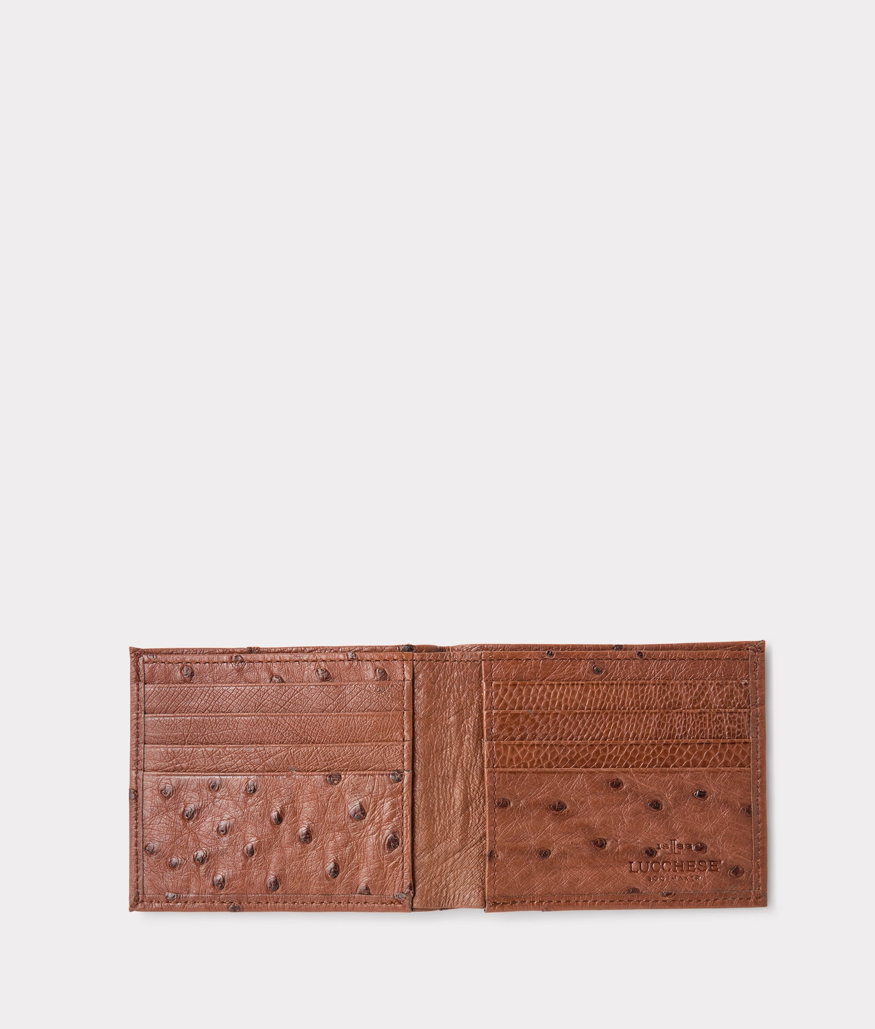 Hipster Wallet – Ostrich :: Sienna - Image 3