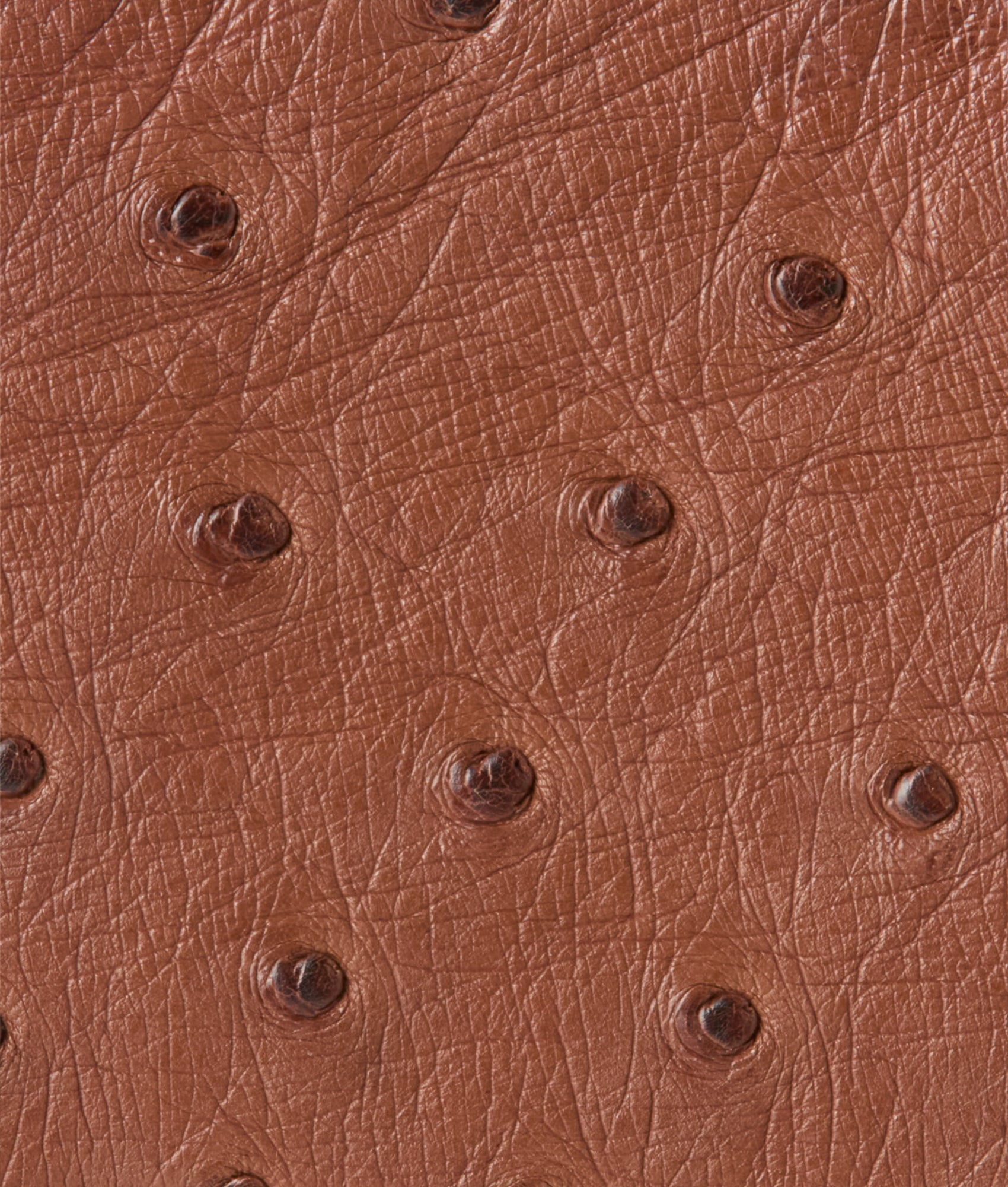 Hipster Wallet – Ostrich :: Sienna - Image 4