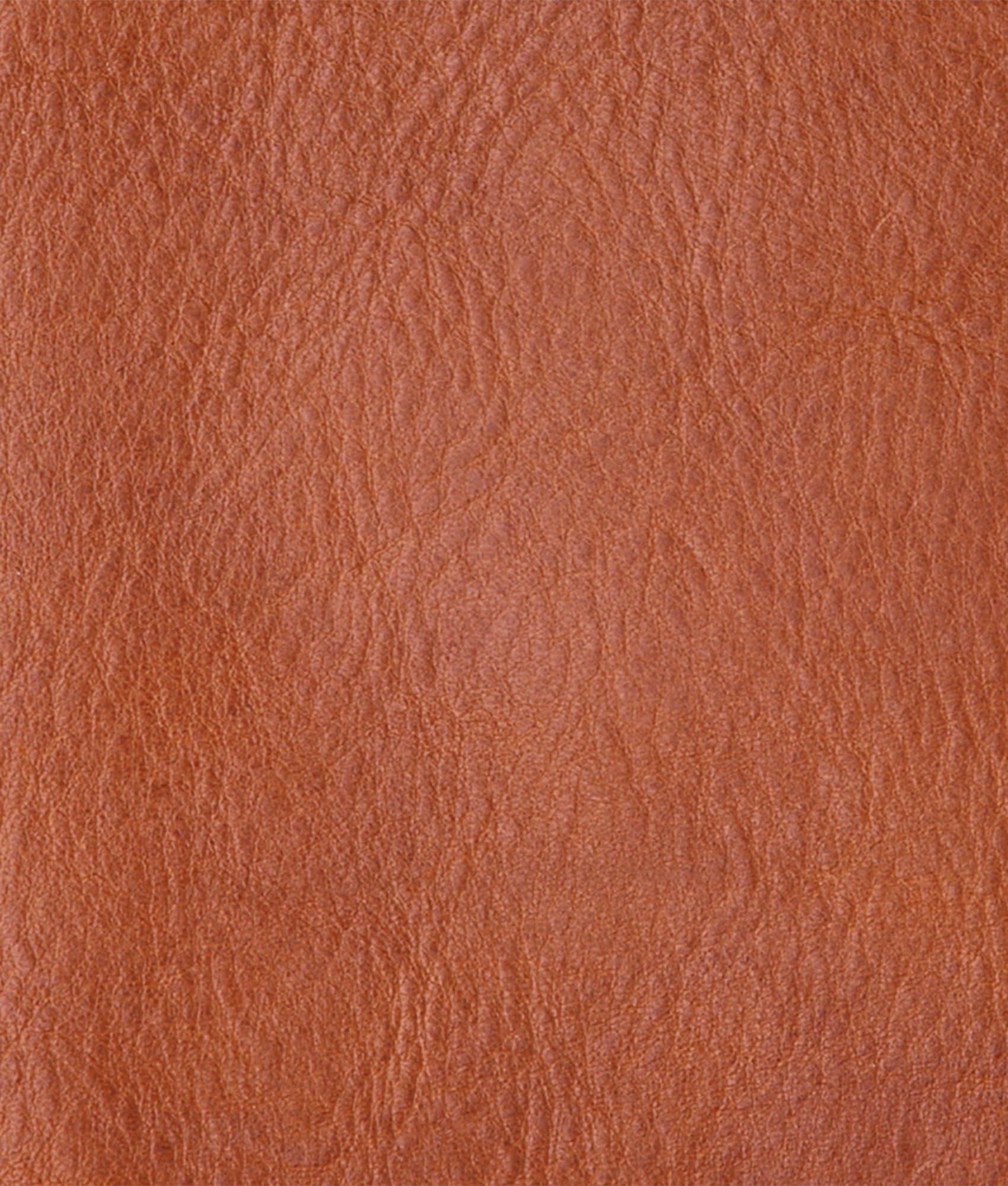 Cosimo Bifold Wallet :: Cognac - Image 4