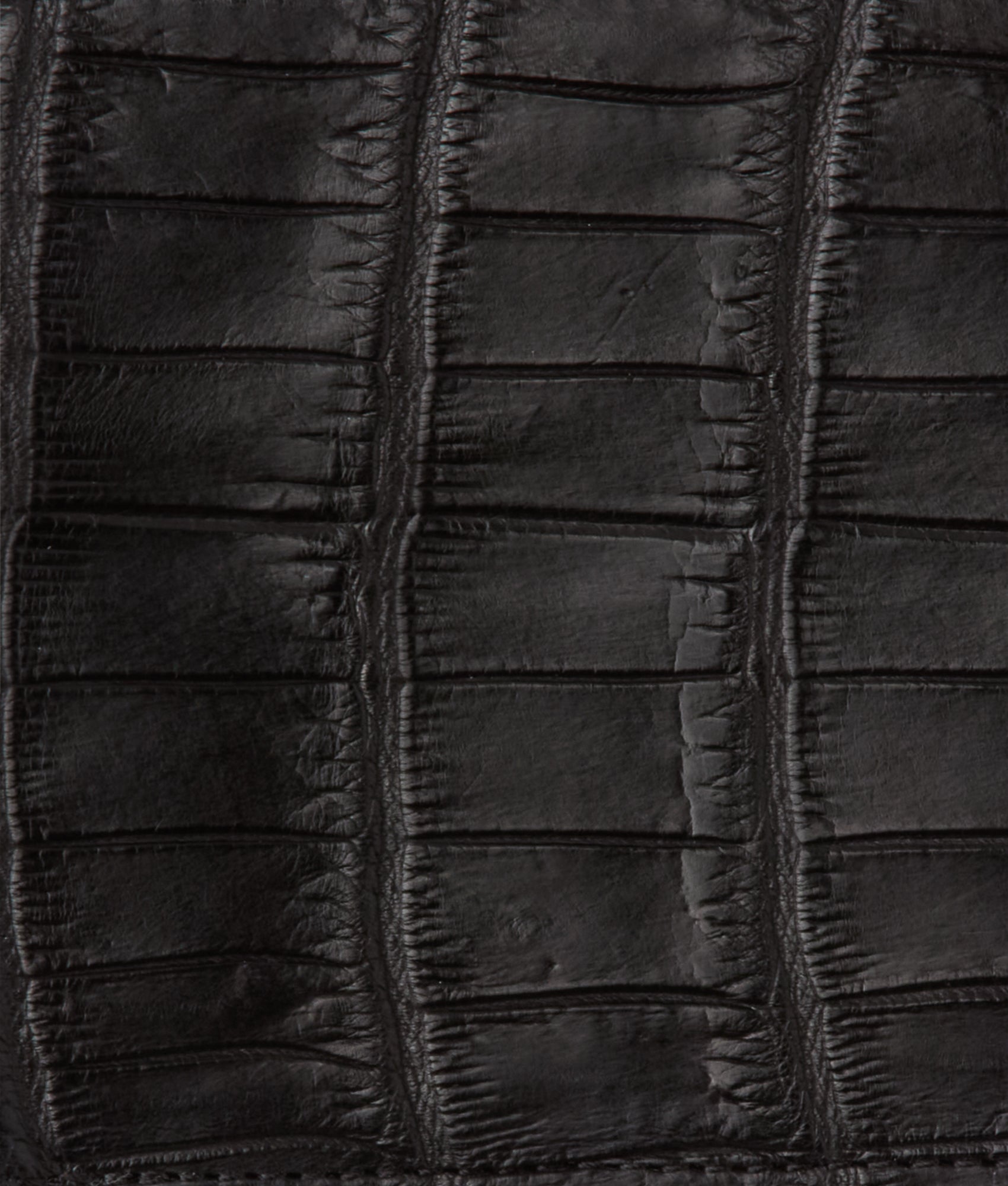 Hipster Wallet - American Alligator :: Black - Image 4