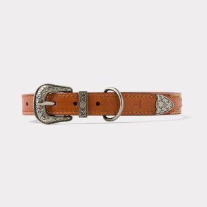 Dog Collar :: Tan