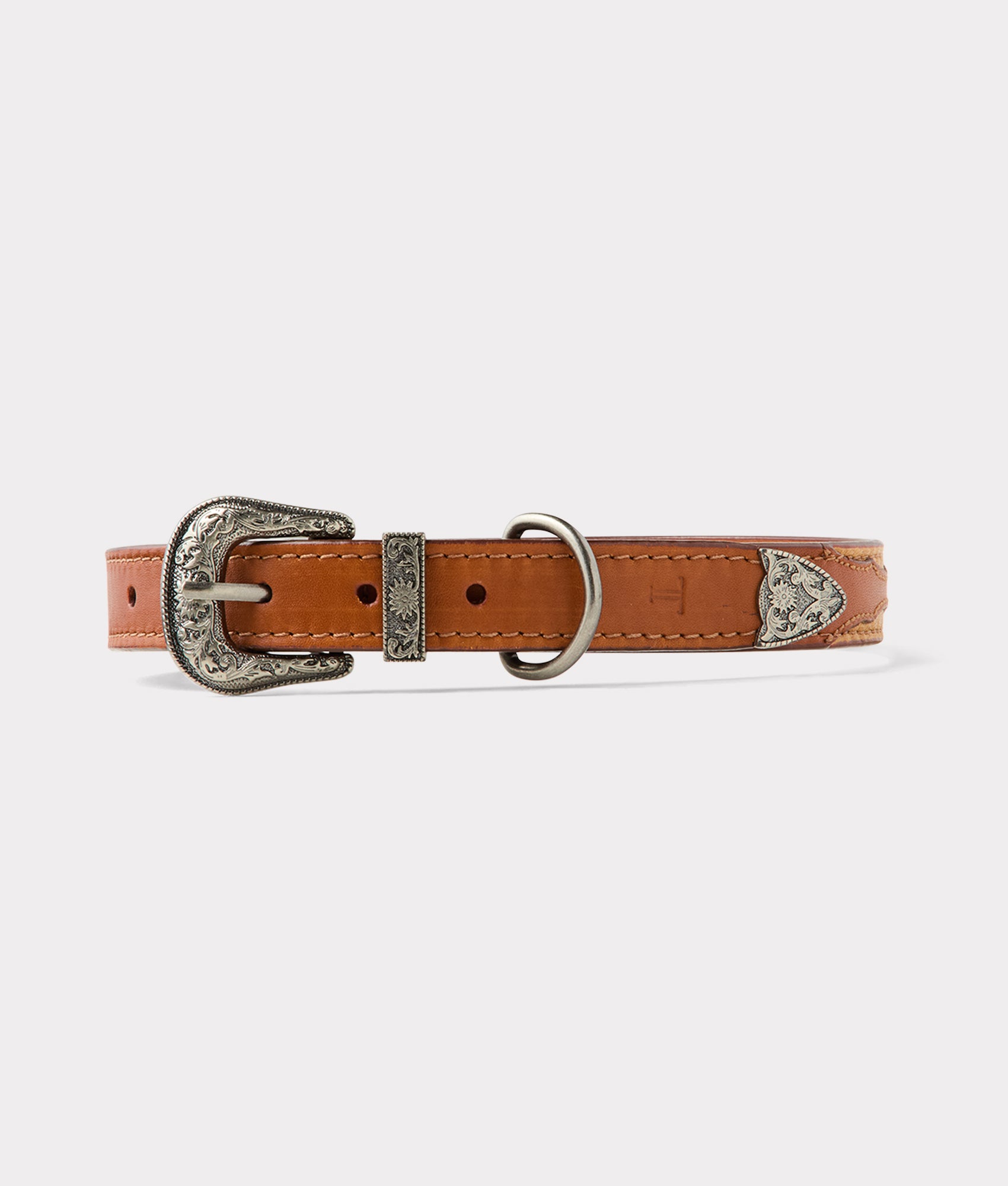 Dog Collar :: Tan