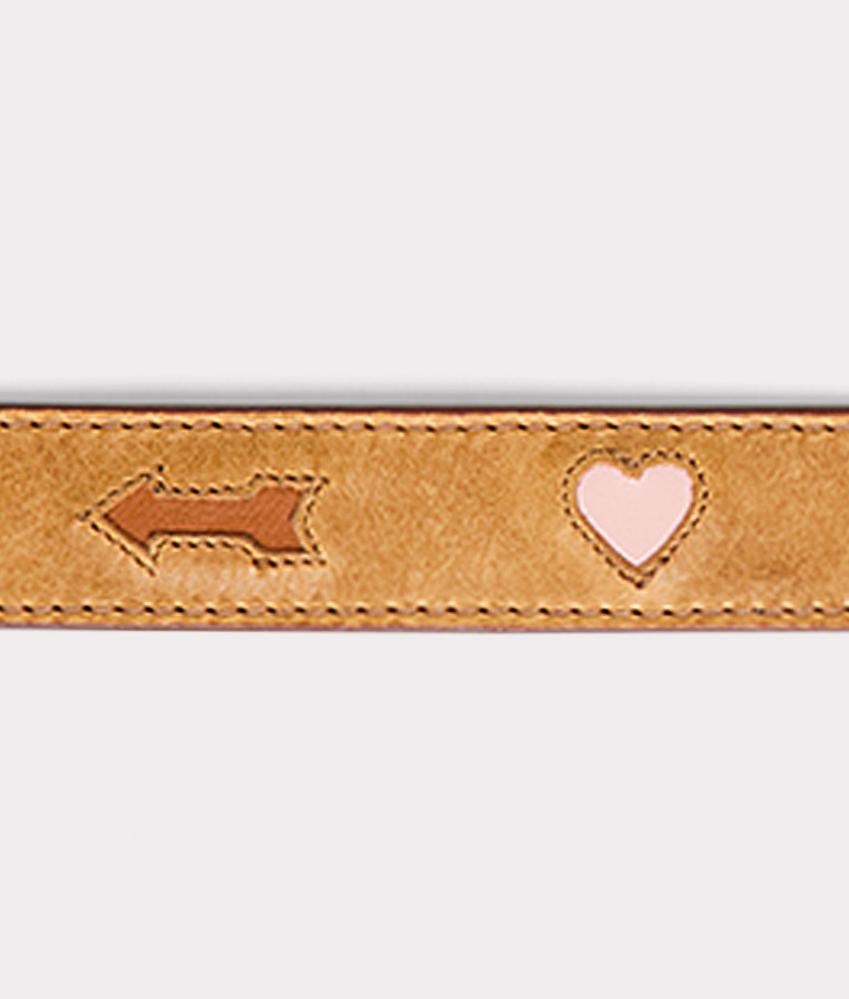 Dog Collar :: Tan - Image 3