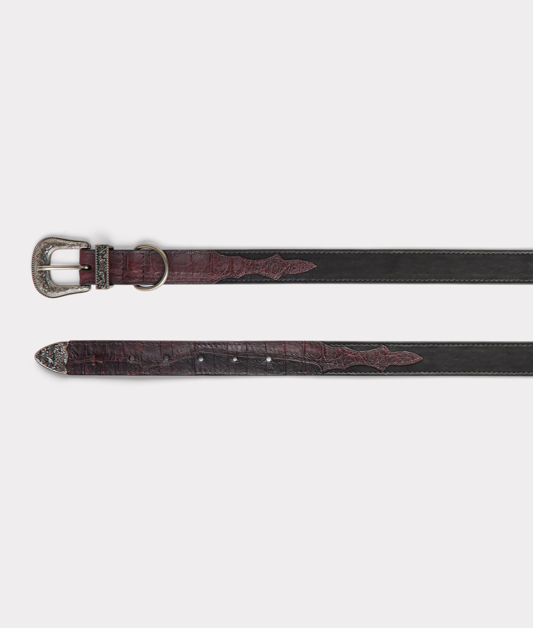 Exotic Dog Collar :: Black Cherry - Image 8