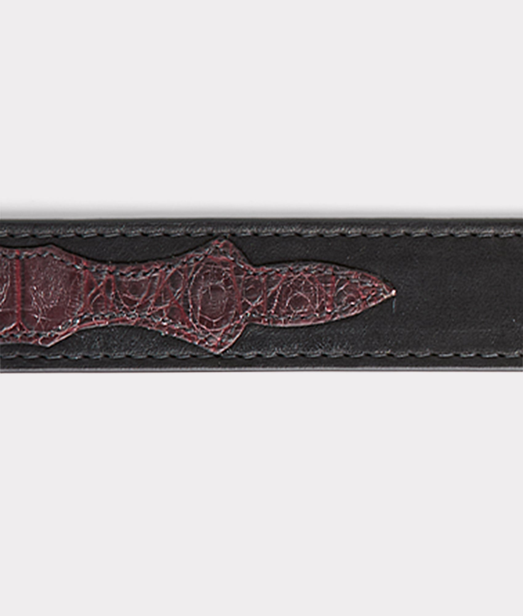 Exotic Dog Collar :: Black Cherry - Image 5