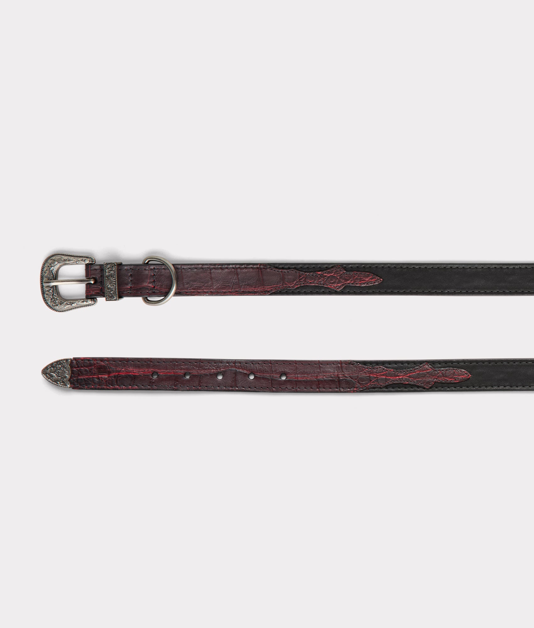 Exotic Dog Collar :: Black Cherry - Image 9