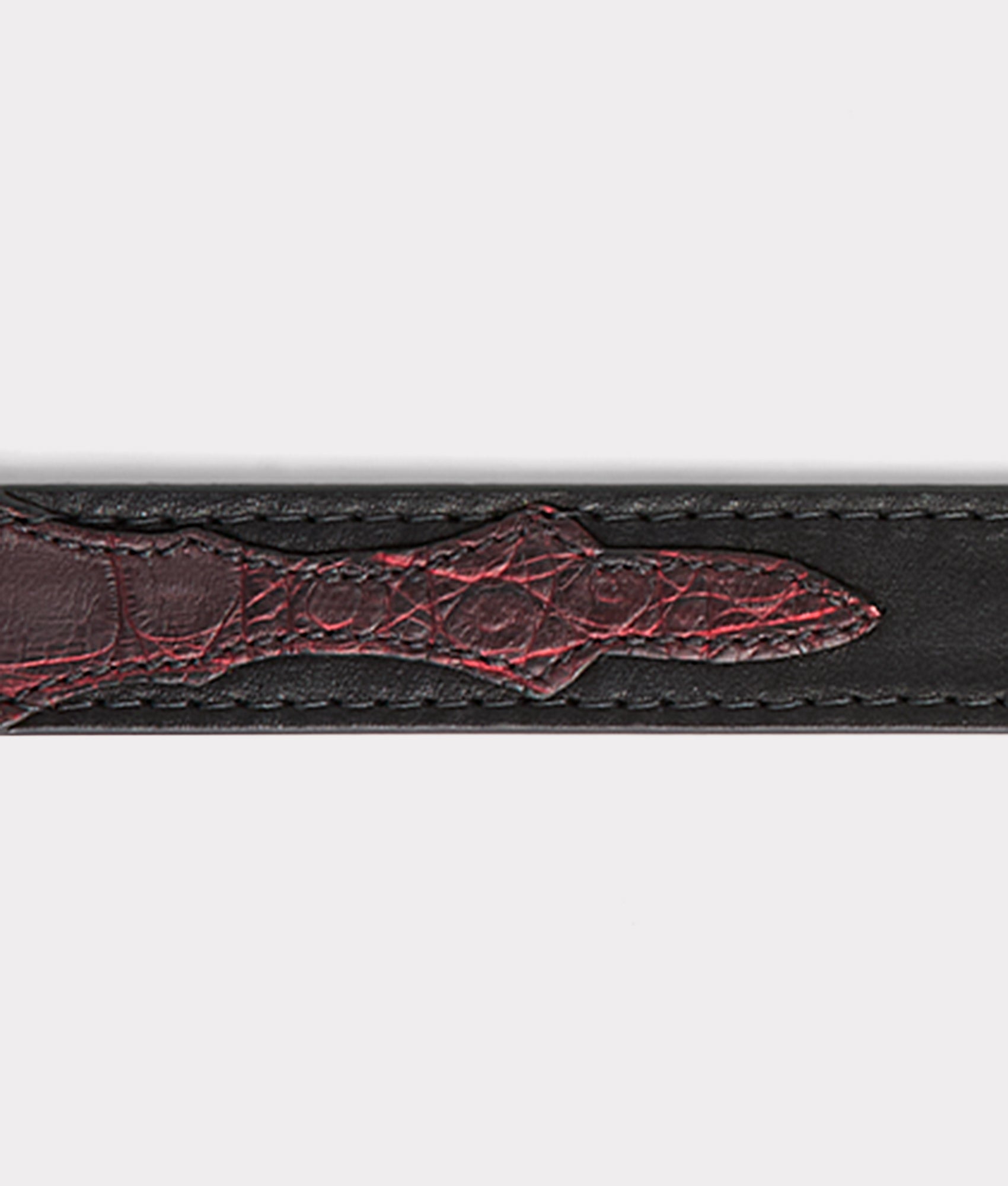 Exotic Dog Collar :: Black Cherry - Image 2