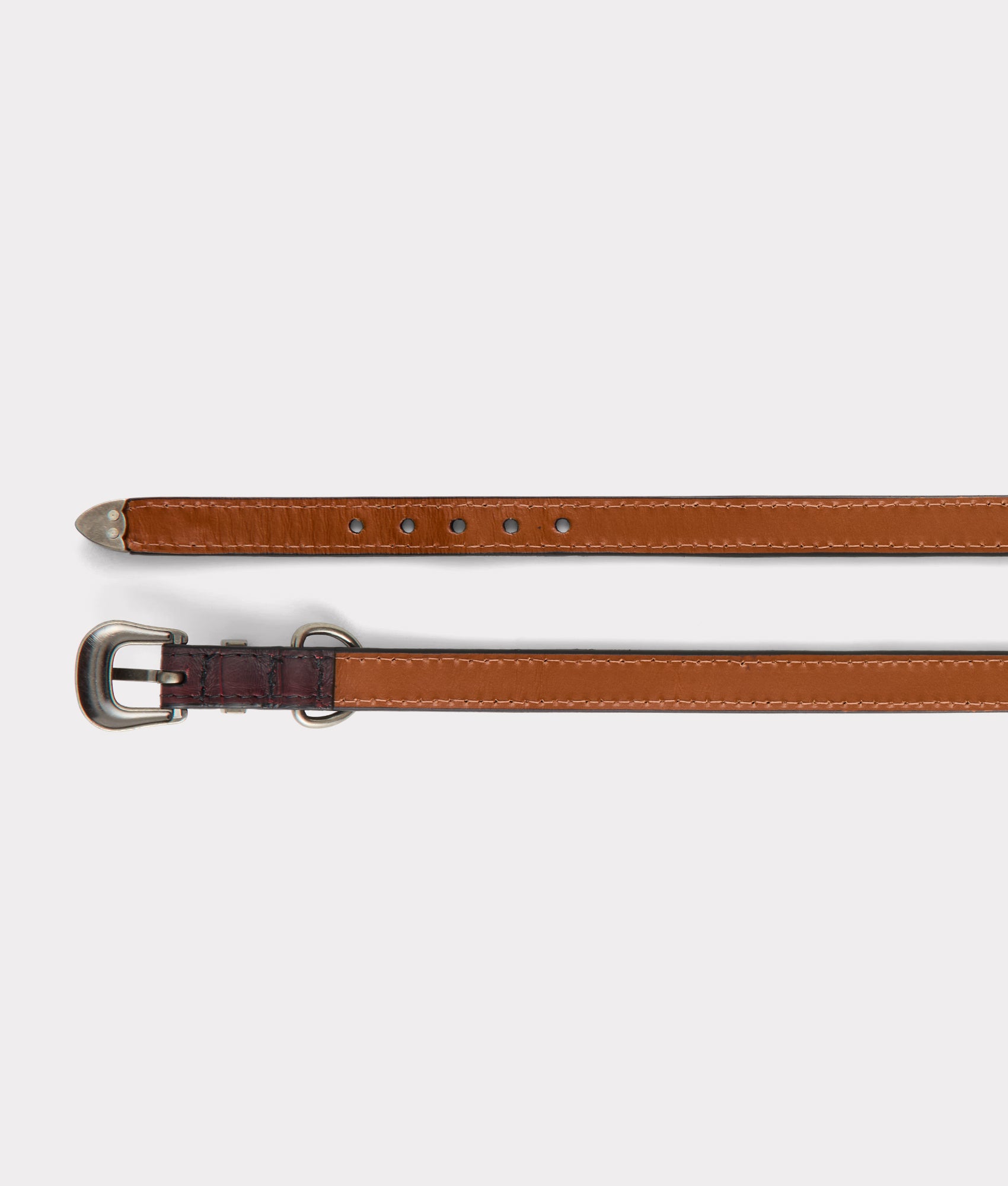 Exotic Dog Collar :: Black Cherry - Image 12
