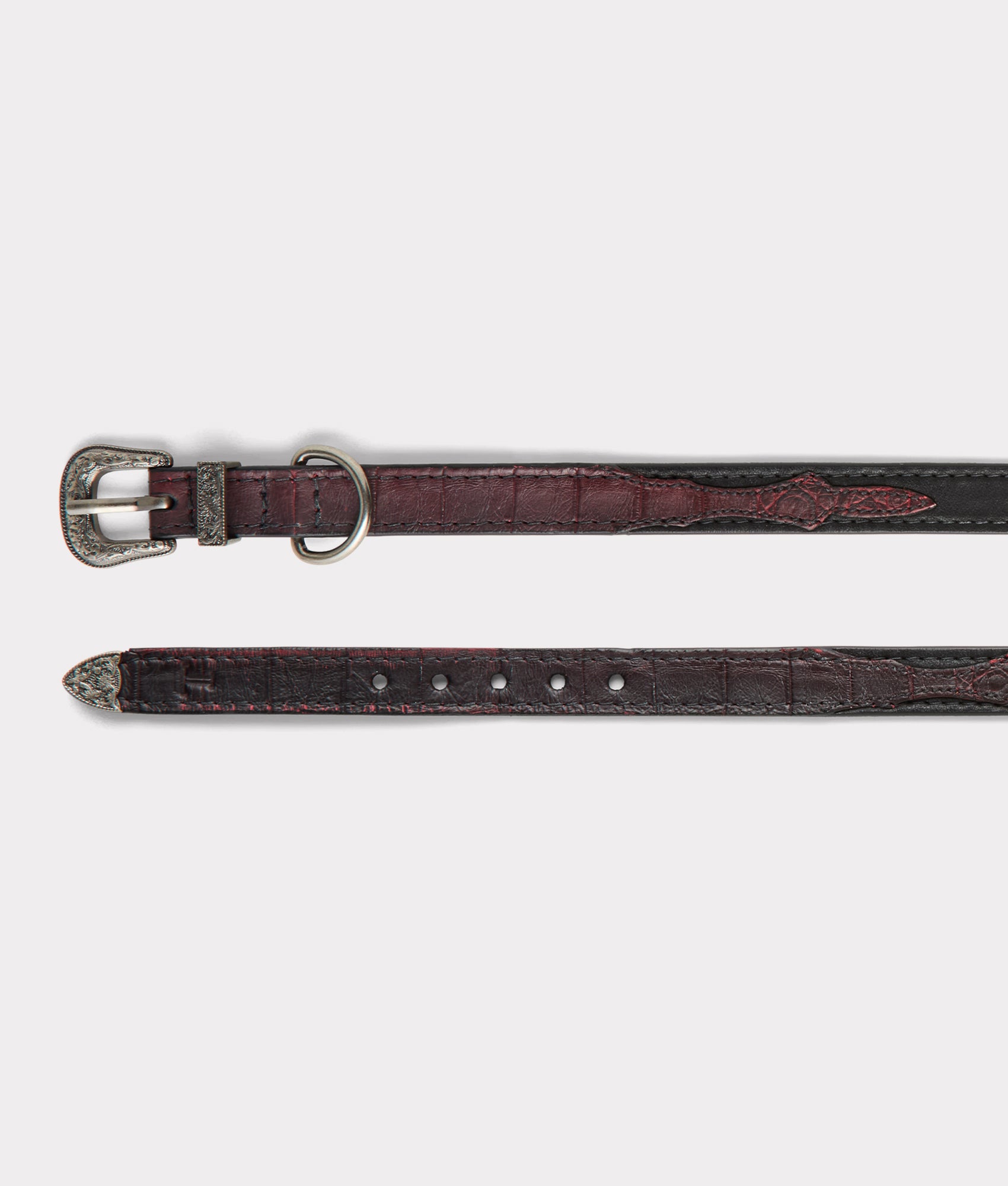 Exotic Dog Collar :: Black Cherry - Image 10