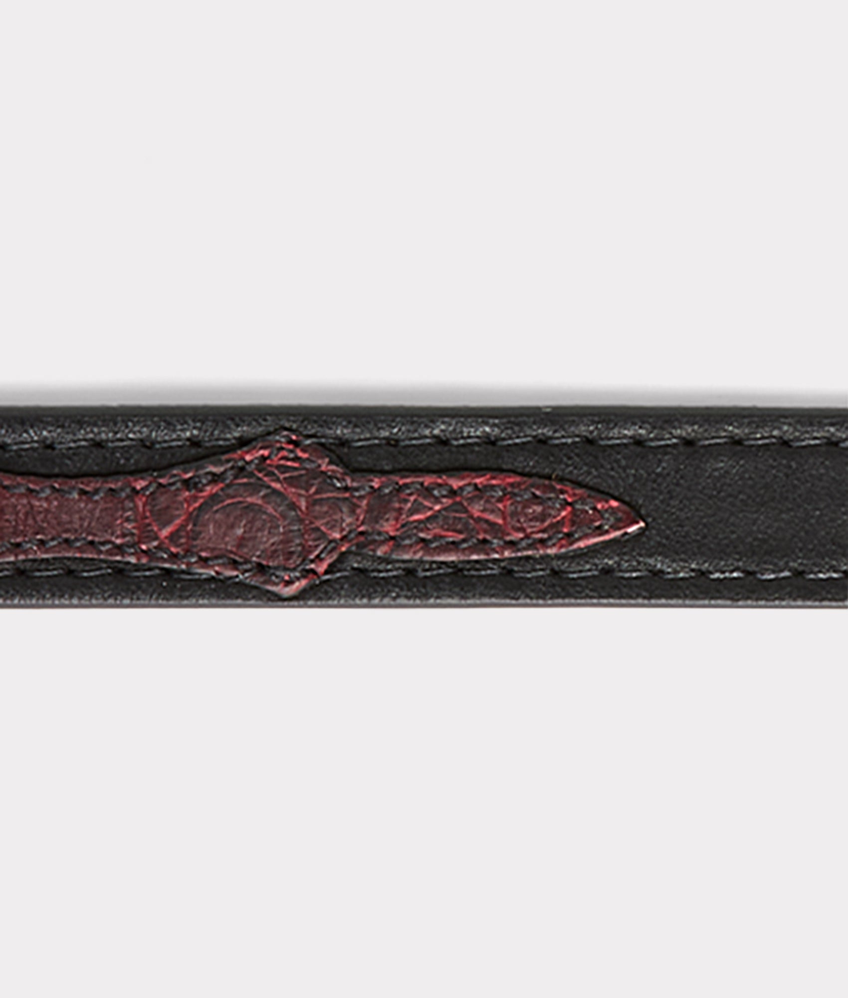 Exotic Dog Collar :: Black Cherry - Image 13