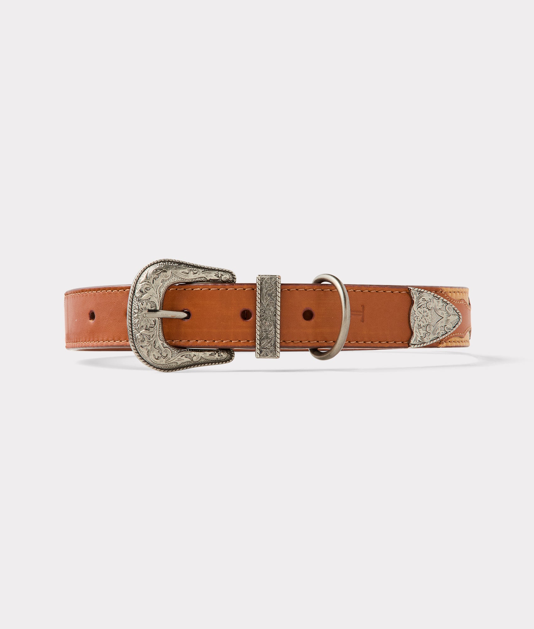 Large Dog Collar :: Tan - Image 3