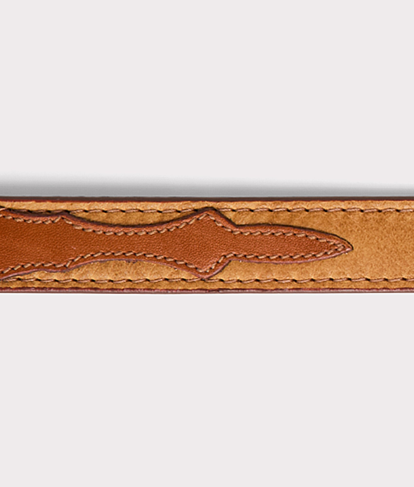 Large Dog Collar :: Tan - Image 4