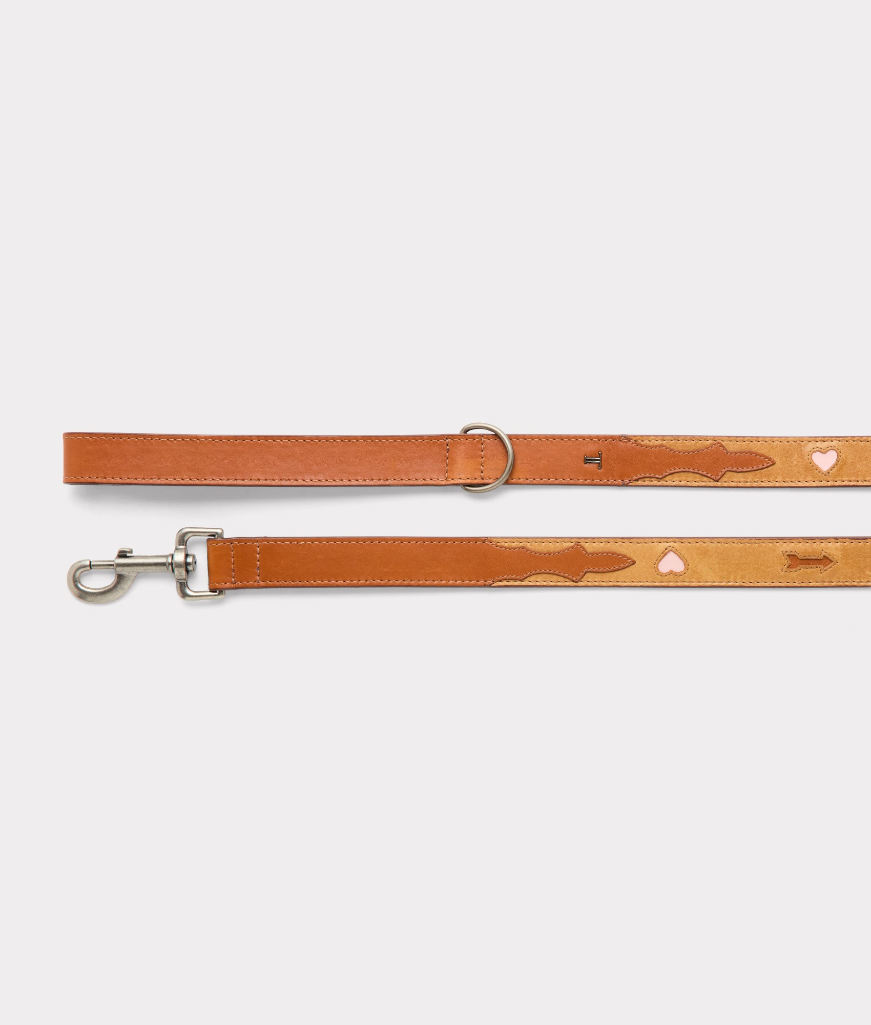 Large Dog Collar :: Tan - Image 8