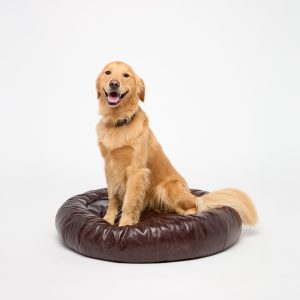 Dog Bed :: Brown