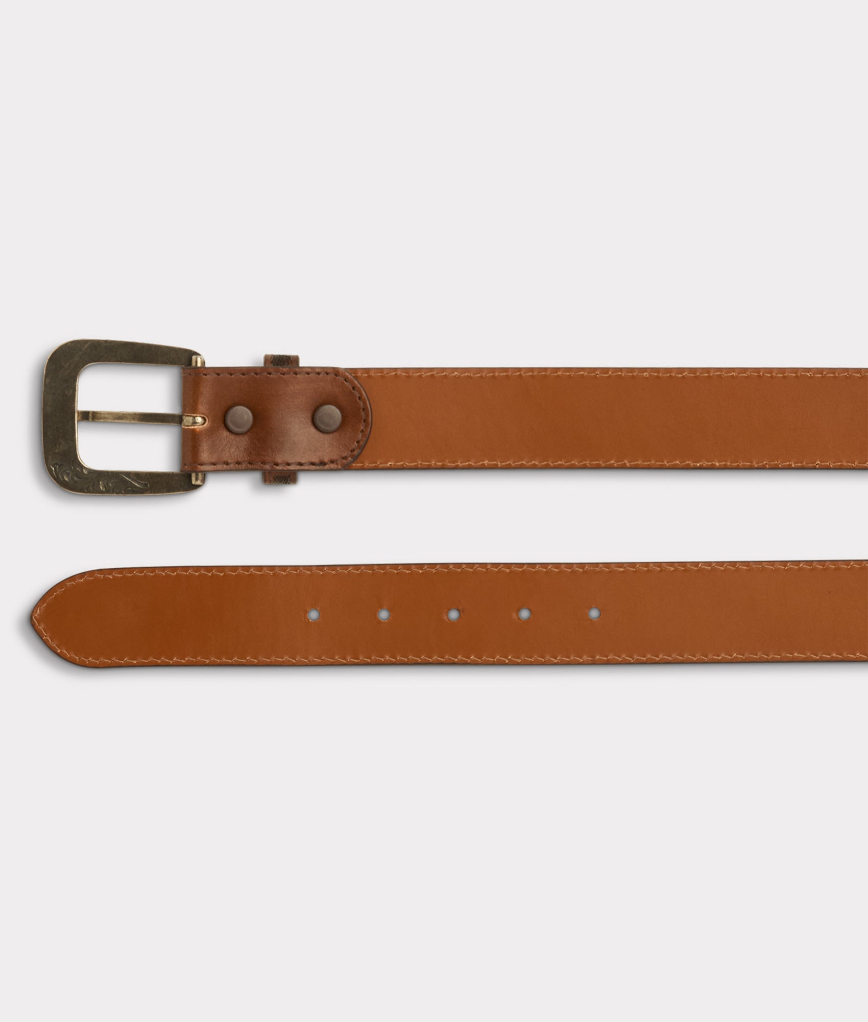 Nobleman Belt :: Chocolate - Image 3
