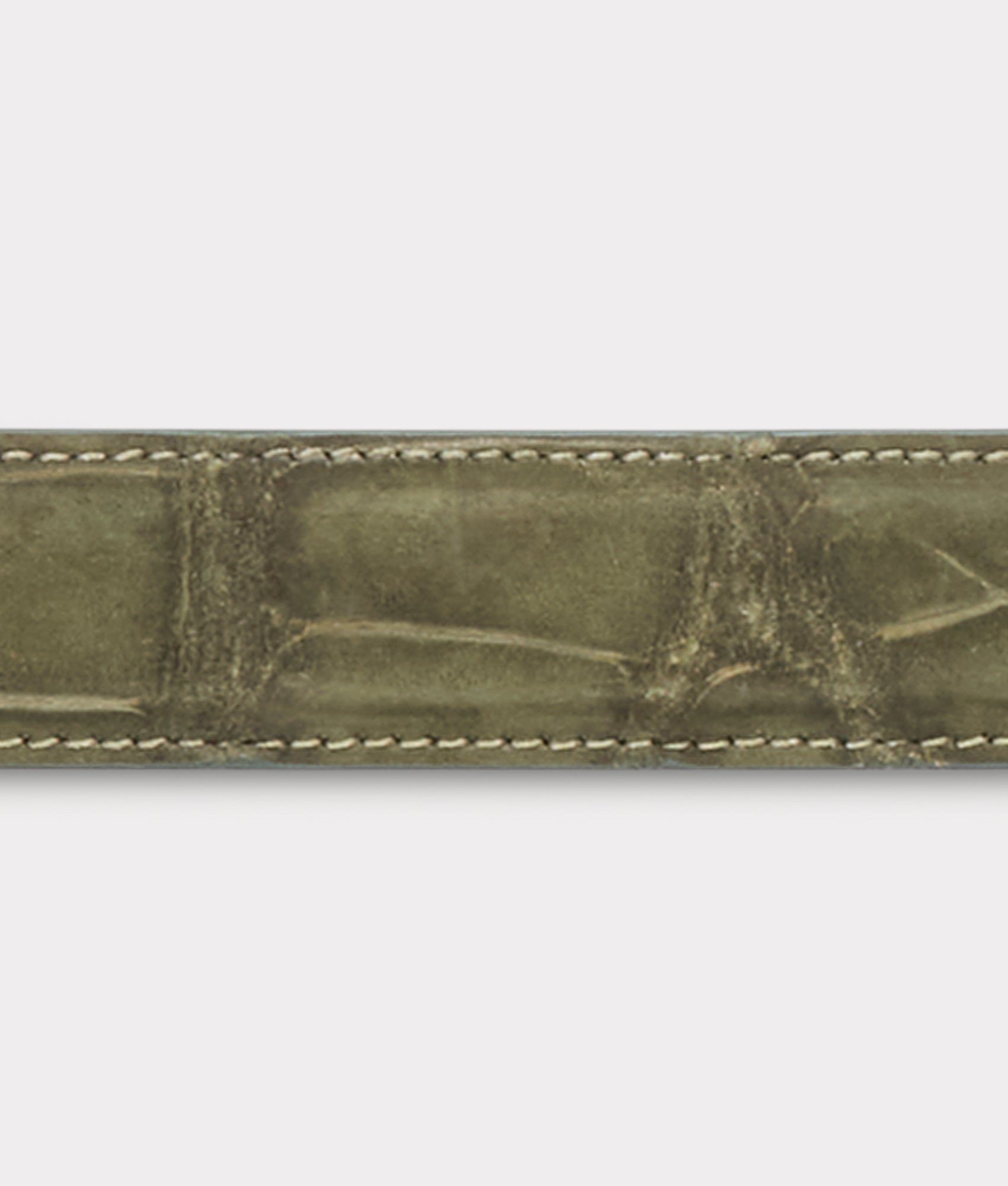 Big Ole Al Belt :: Olive - Image 5
