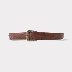 Full Quill Ostrich :: Kango Tobac