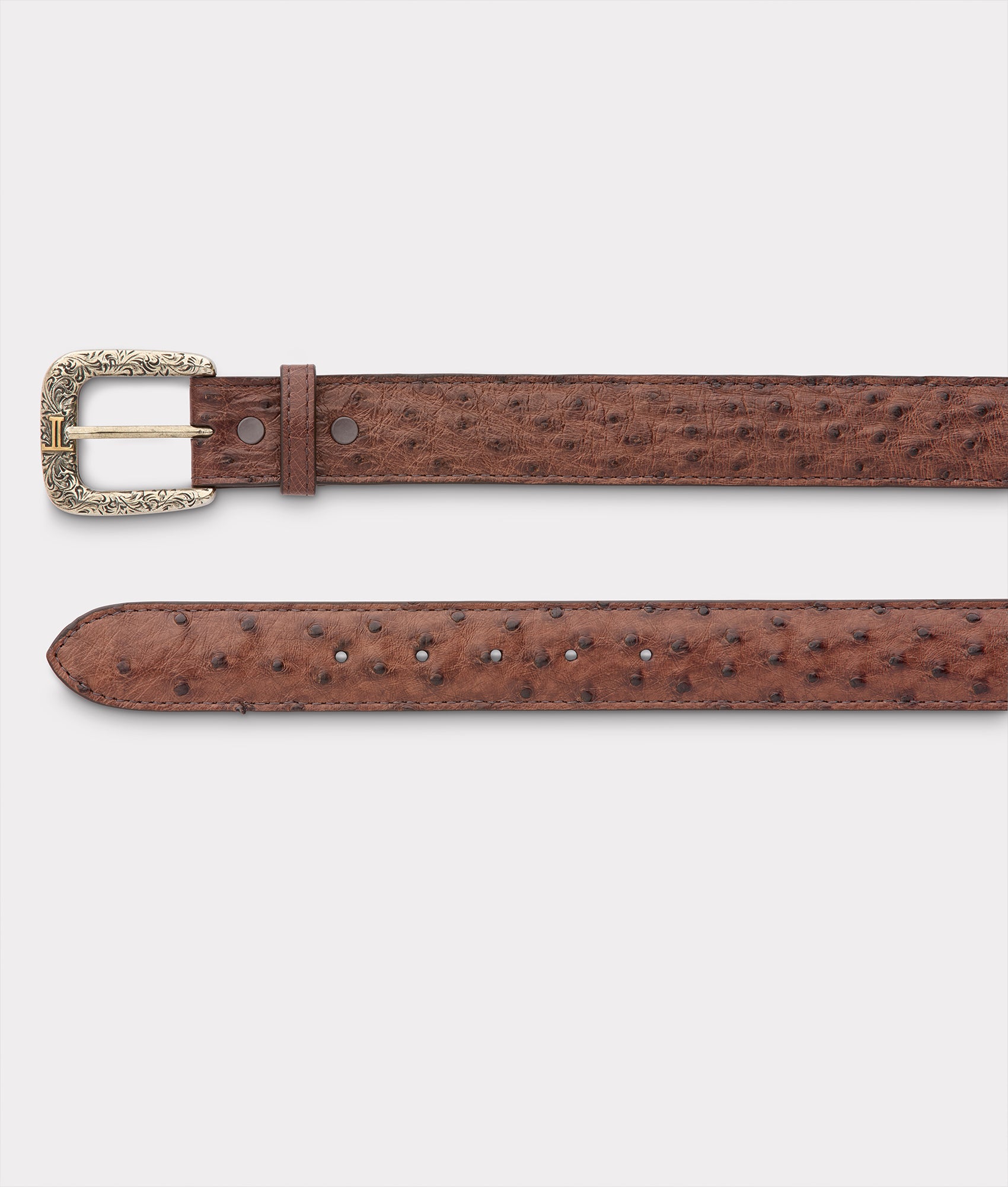 Full Quill Ostrich :: Kango Tobac - Image 3