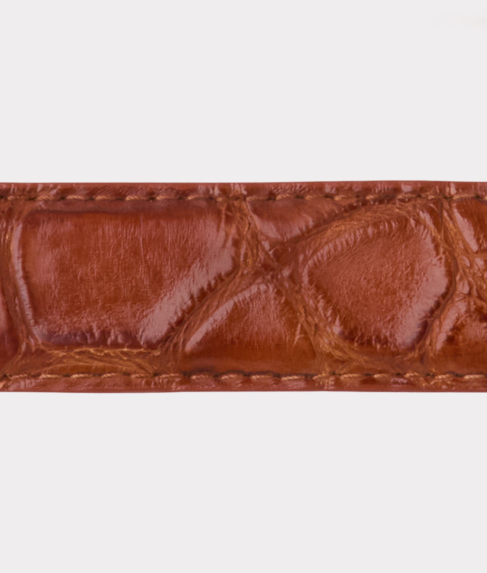 Lady Belt :: Cognac - Image 6