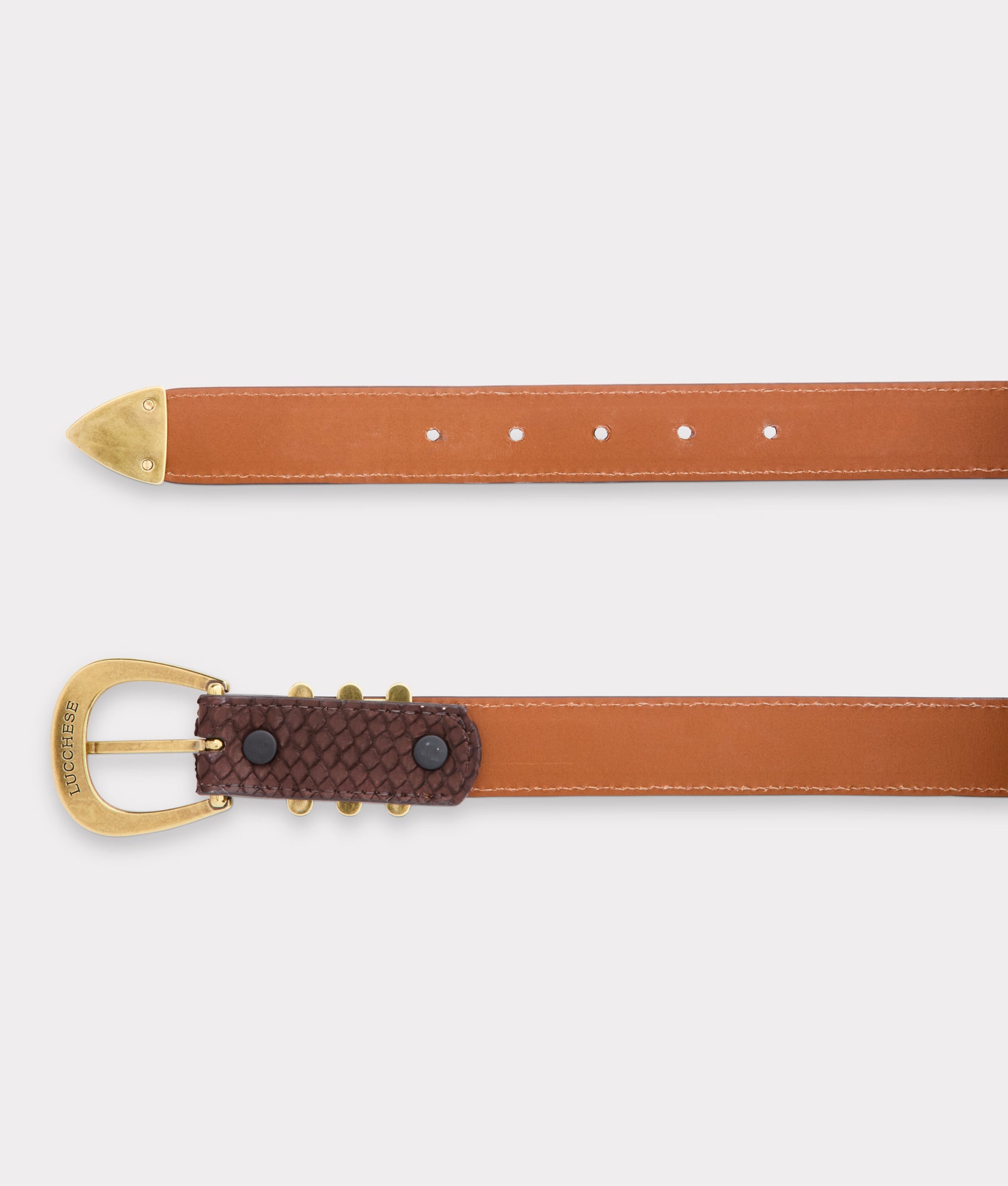 Siena Belt :: Chocolate - Image 5