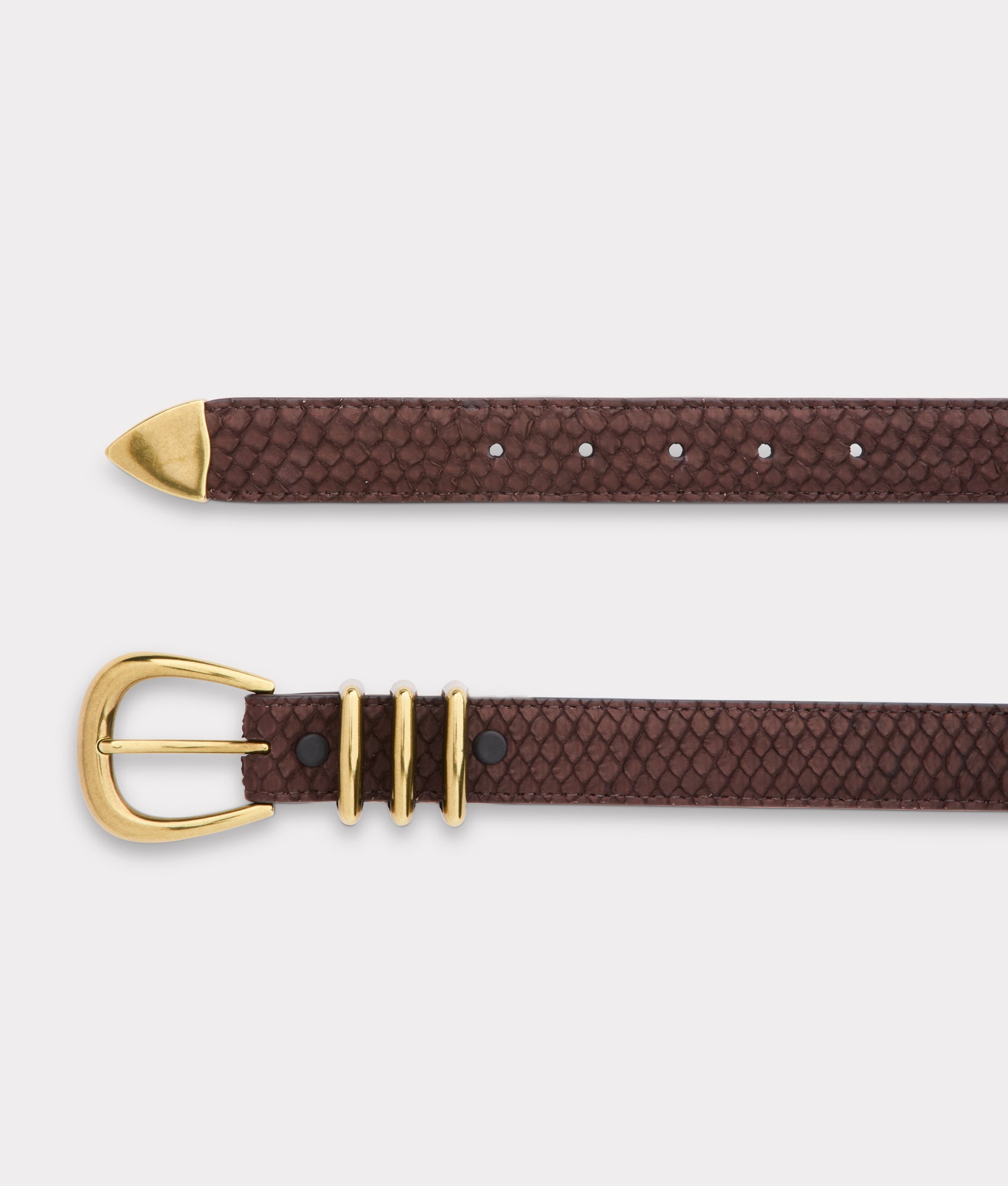 Siena Belt :: Chocolate - Image 4