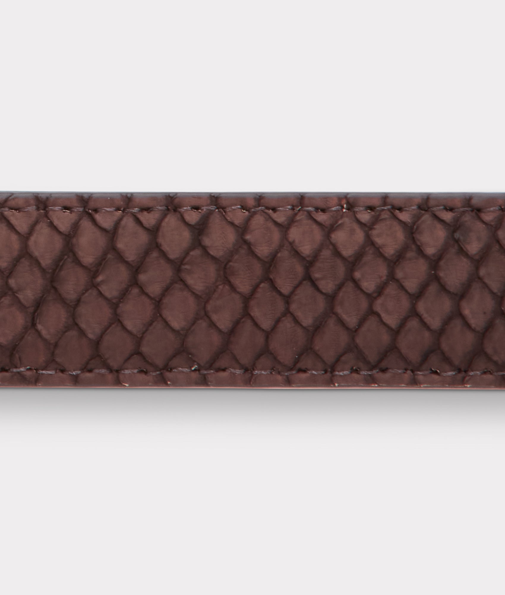 Siena Belt :: Chocolate - Image 6