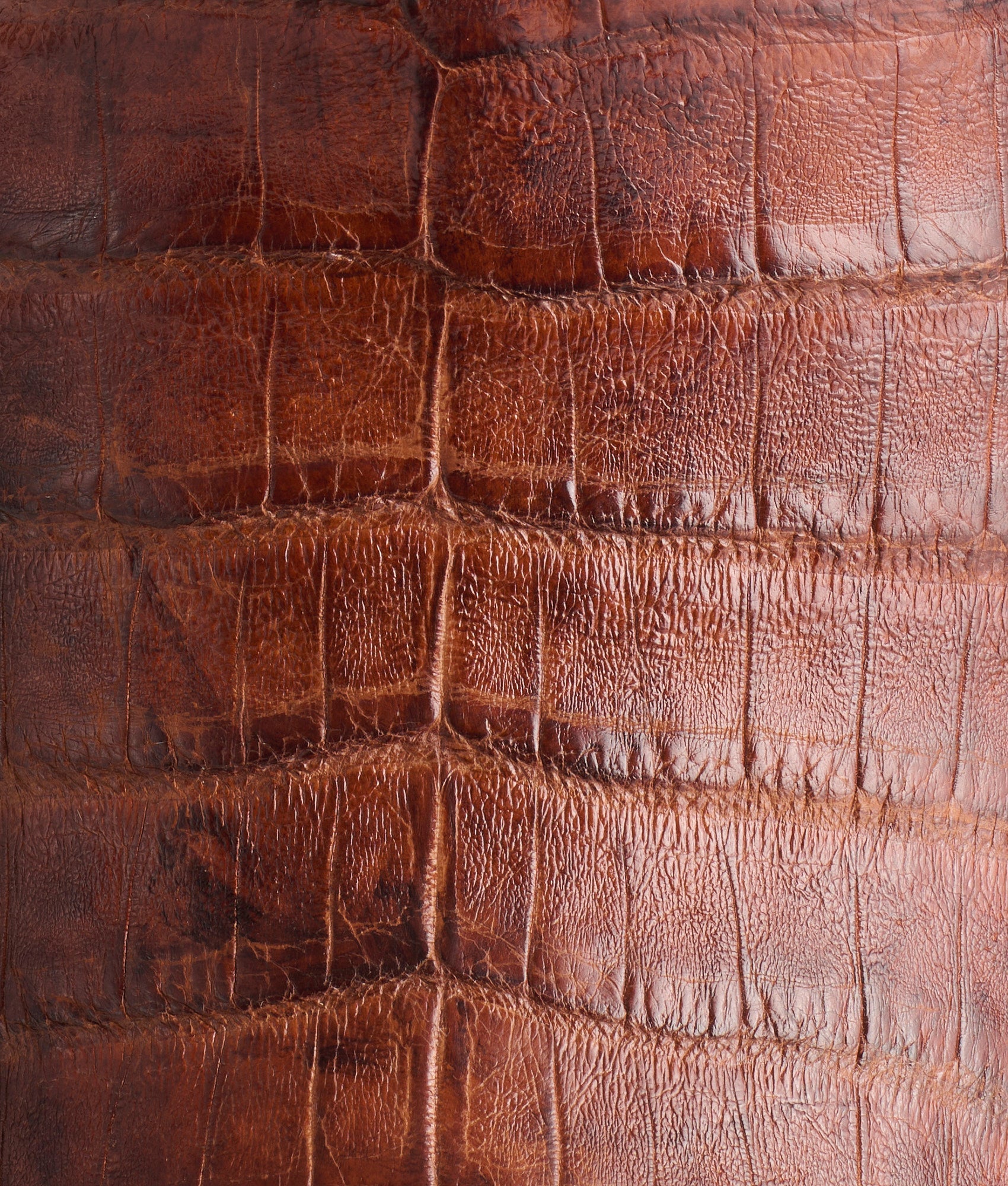 Charles :: Sienna + Dark Brown - Image 8