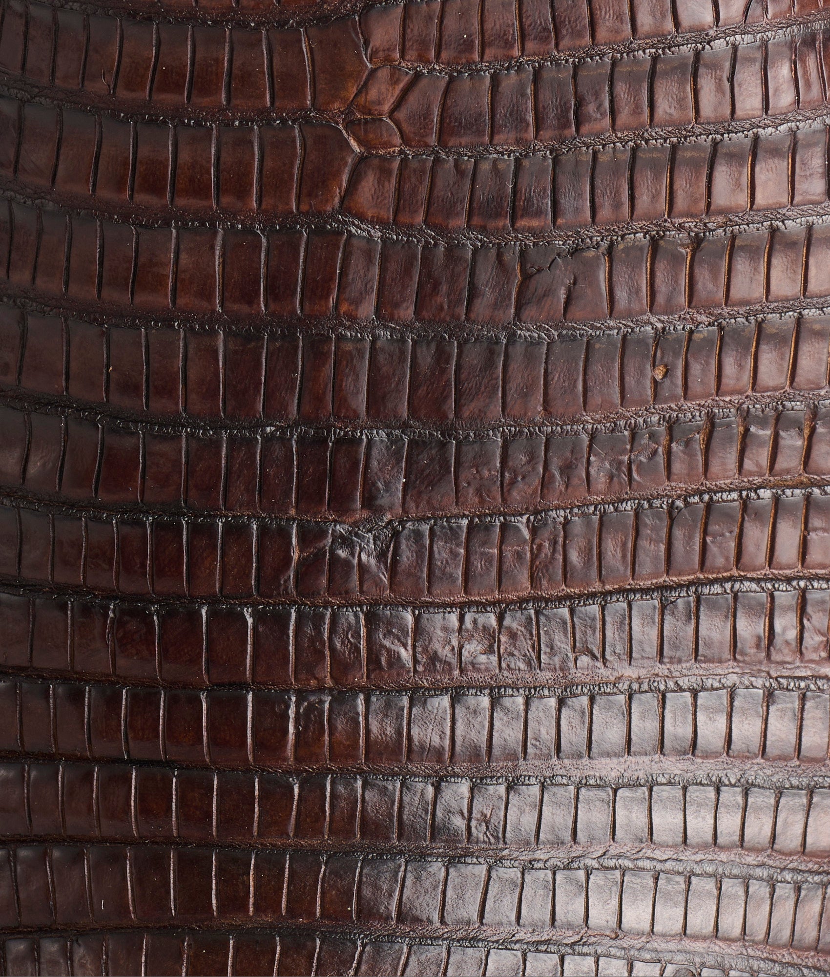 Percy :: Antique Tan + Tan - Image 8