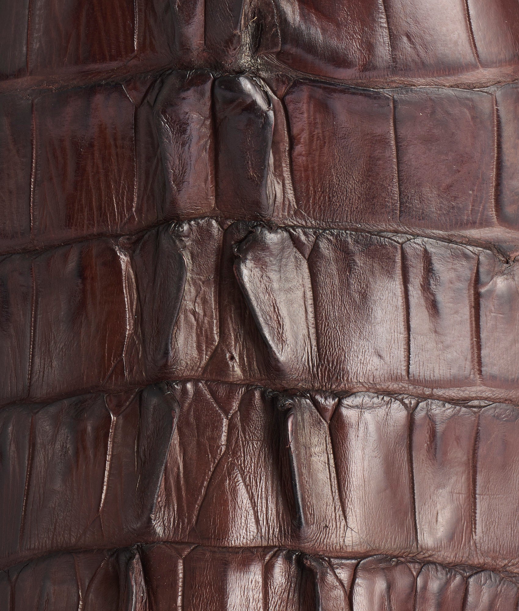 Hendrik :: Chocolate Burnished + Tan - Image 8