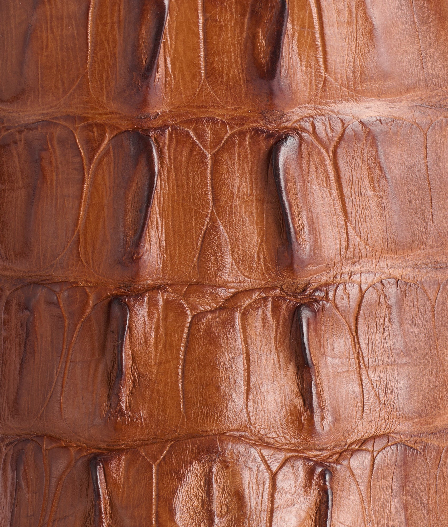 Hendrik :: Tan Burnished + Red - Image 8