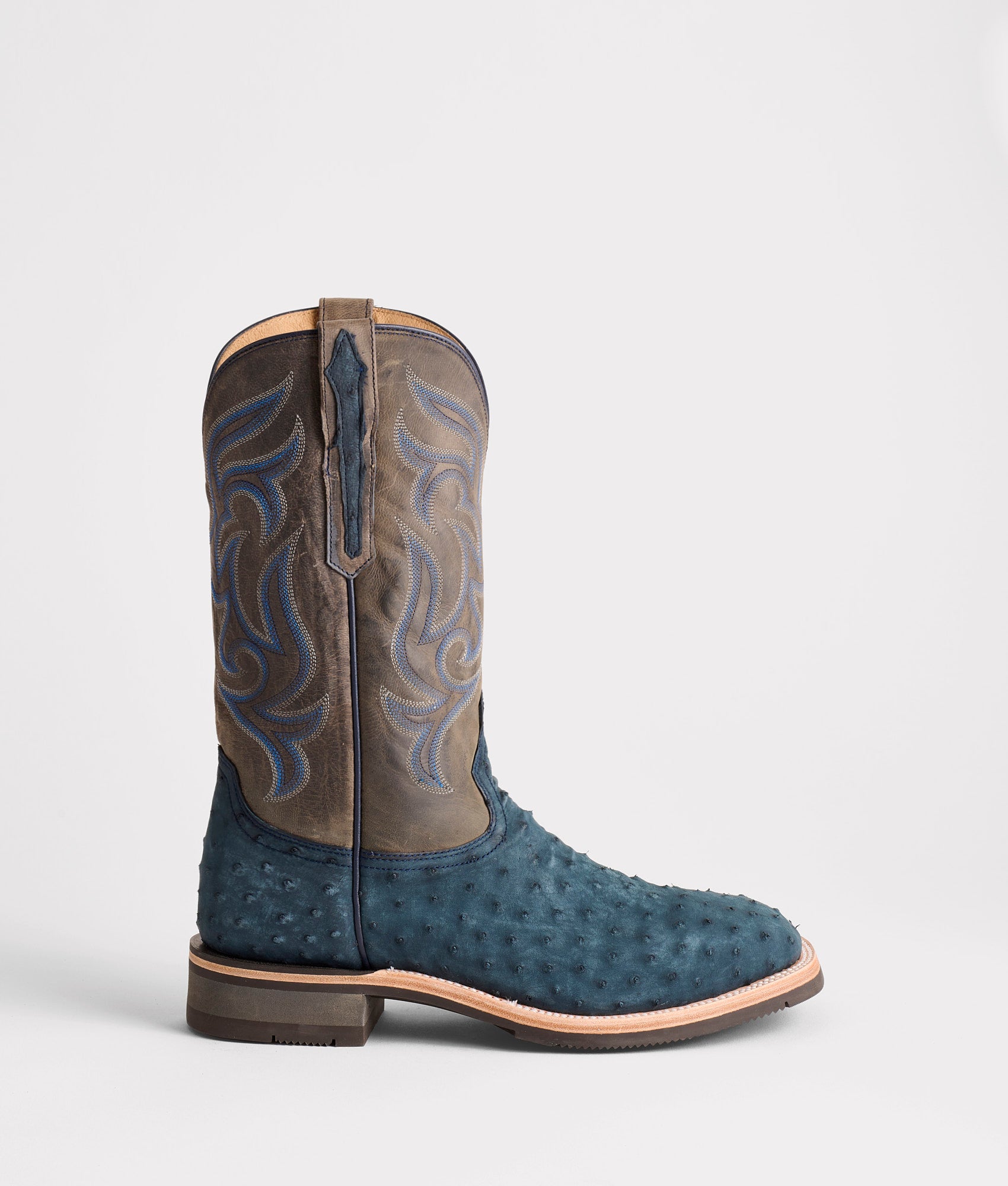 Rowdy Ostrich :: Navy