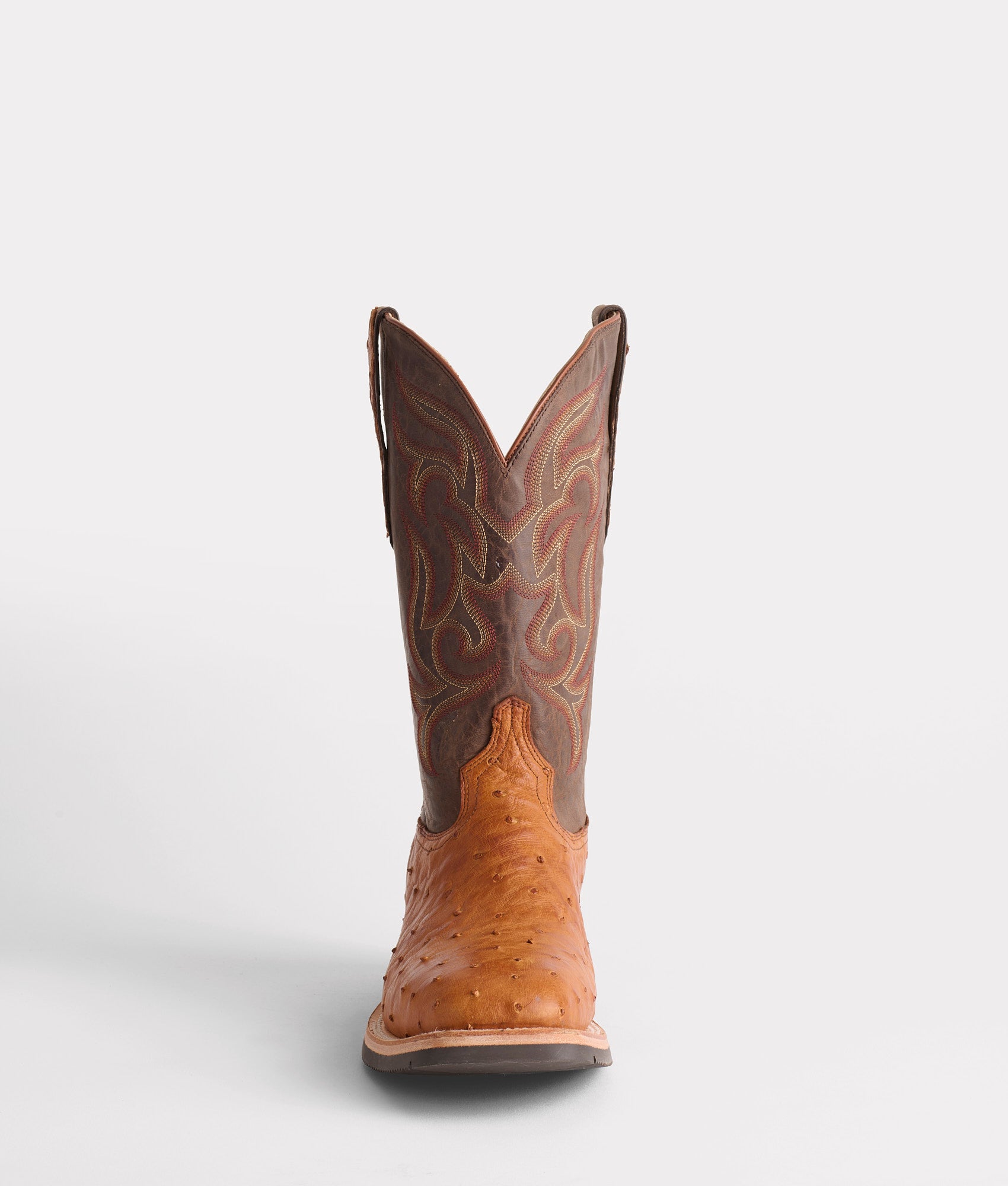 Rowdy Ostrich :: Cognac + Brown - Image 4