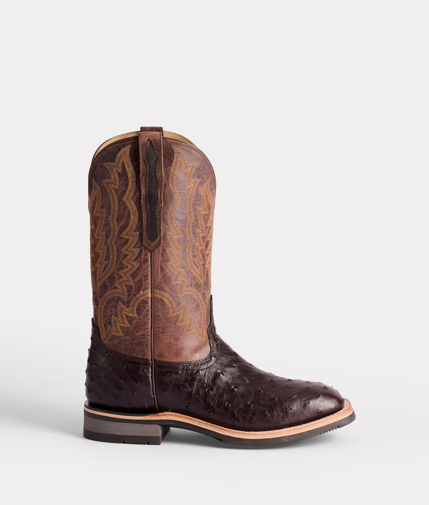 Rowdy Ostrich :: Antique Chocolate