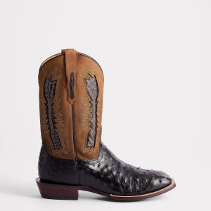 Roscoe :: Black