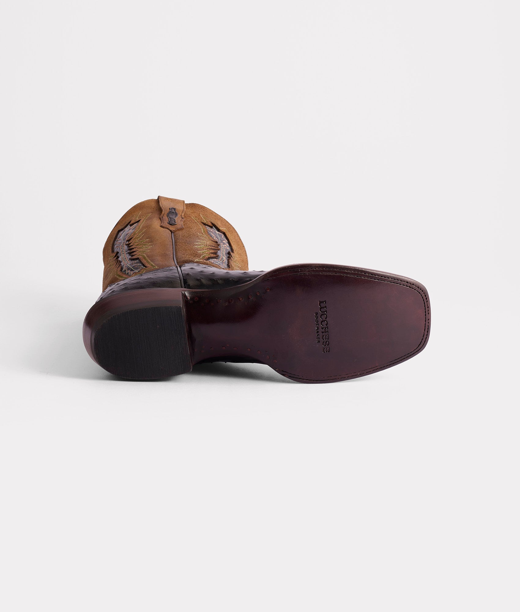 Roscoe :: Black - Image 6