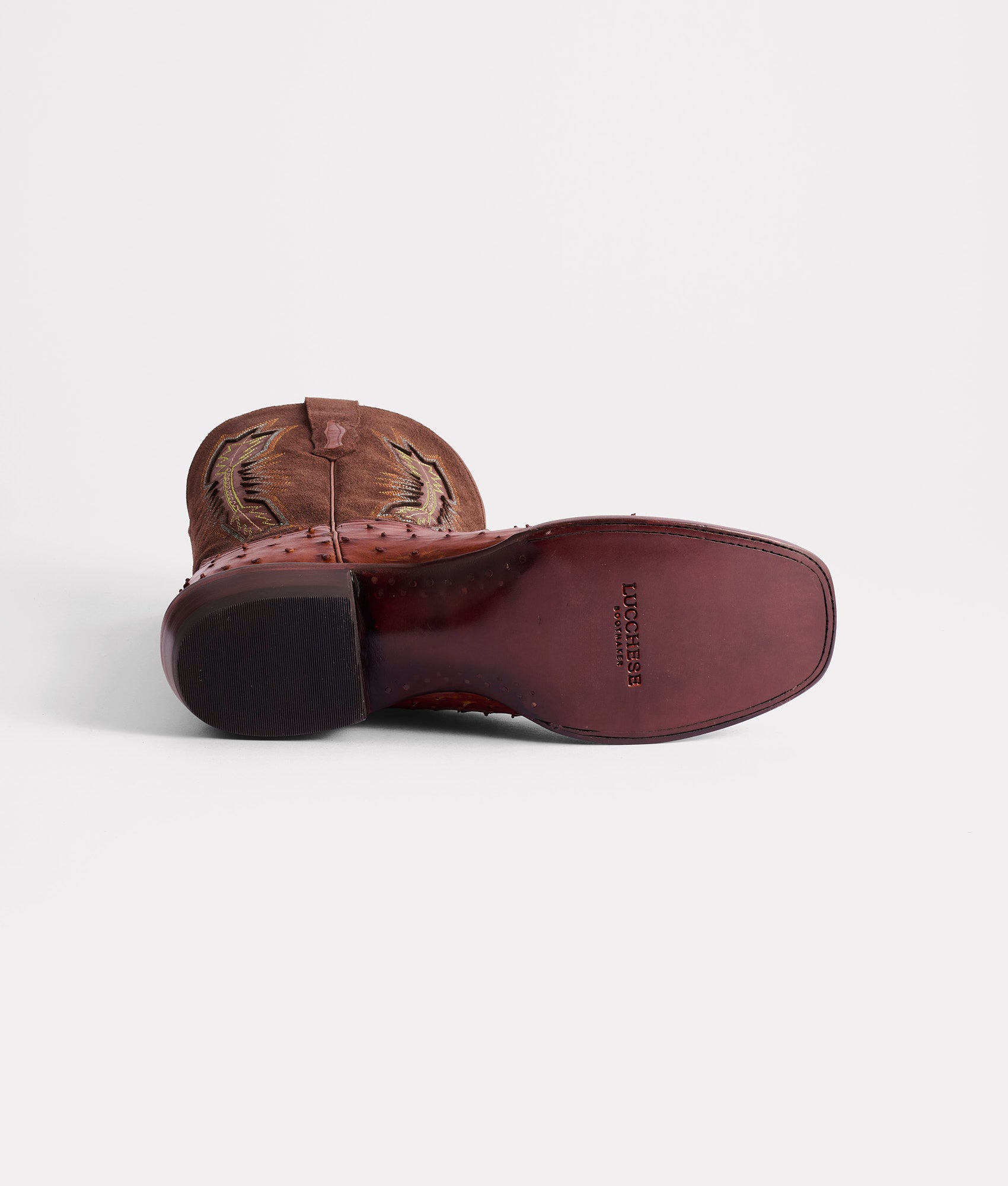 Roscoe :: Tobacco - Image 6