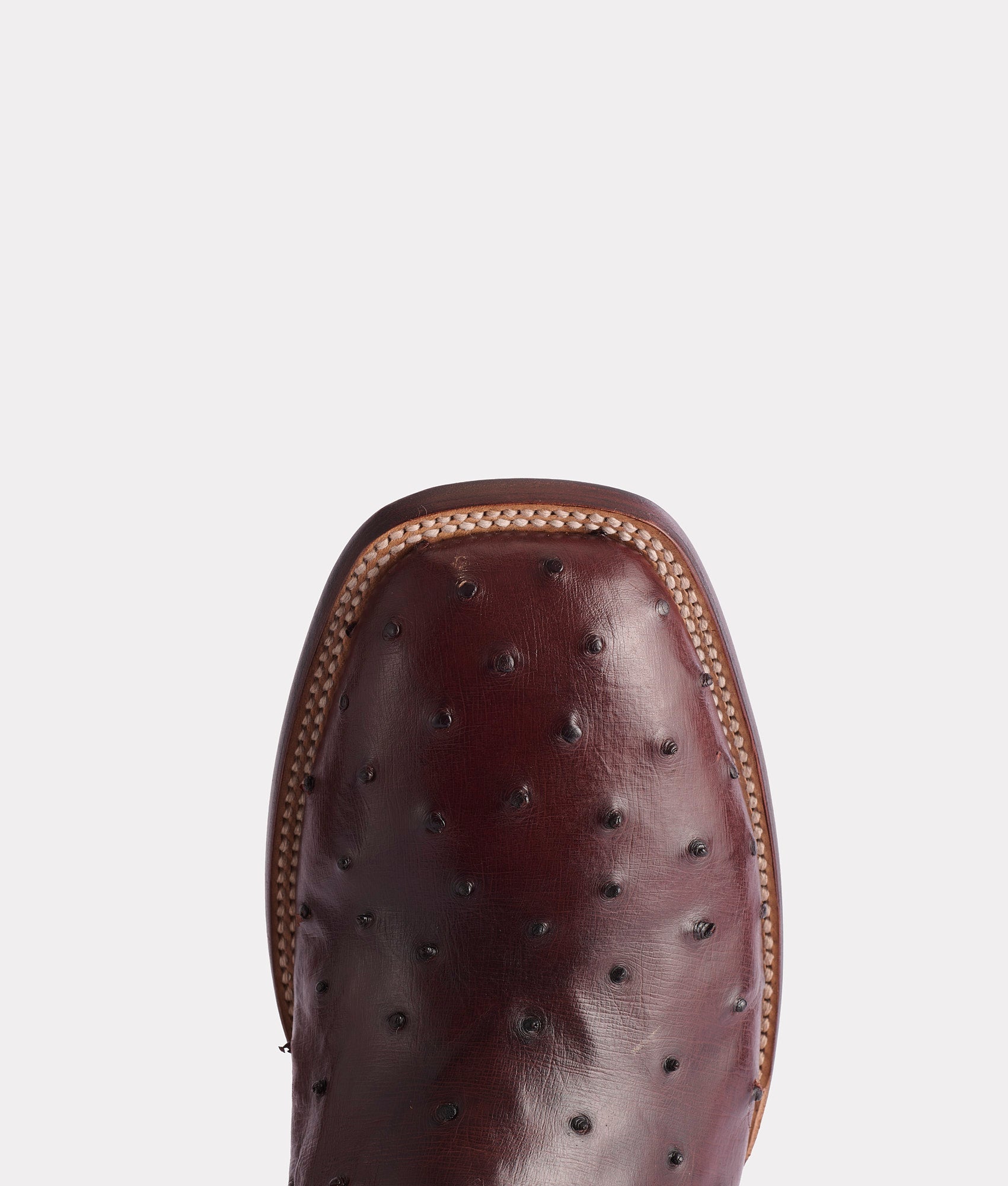 Roscoe :: Barnwood - Image 7