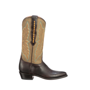 Dina :: Brown