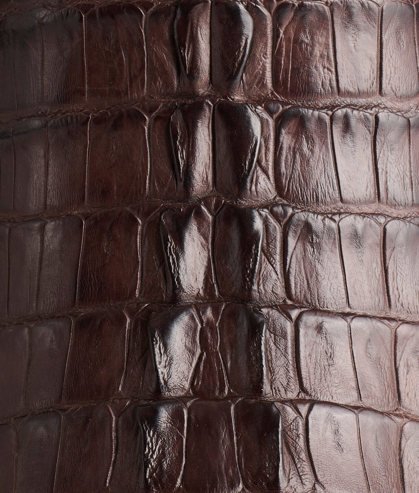 Franklin :: Barrel Brown + Chocolate - Image 8