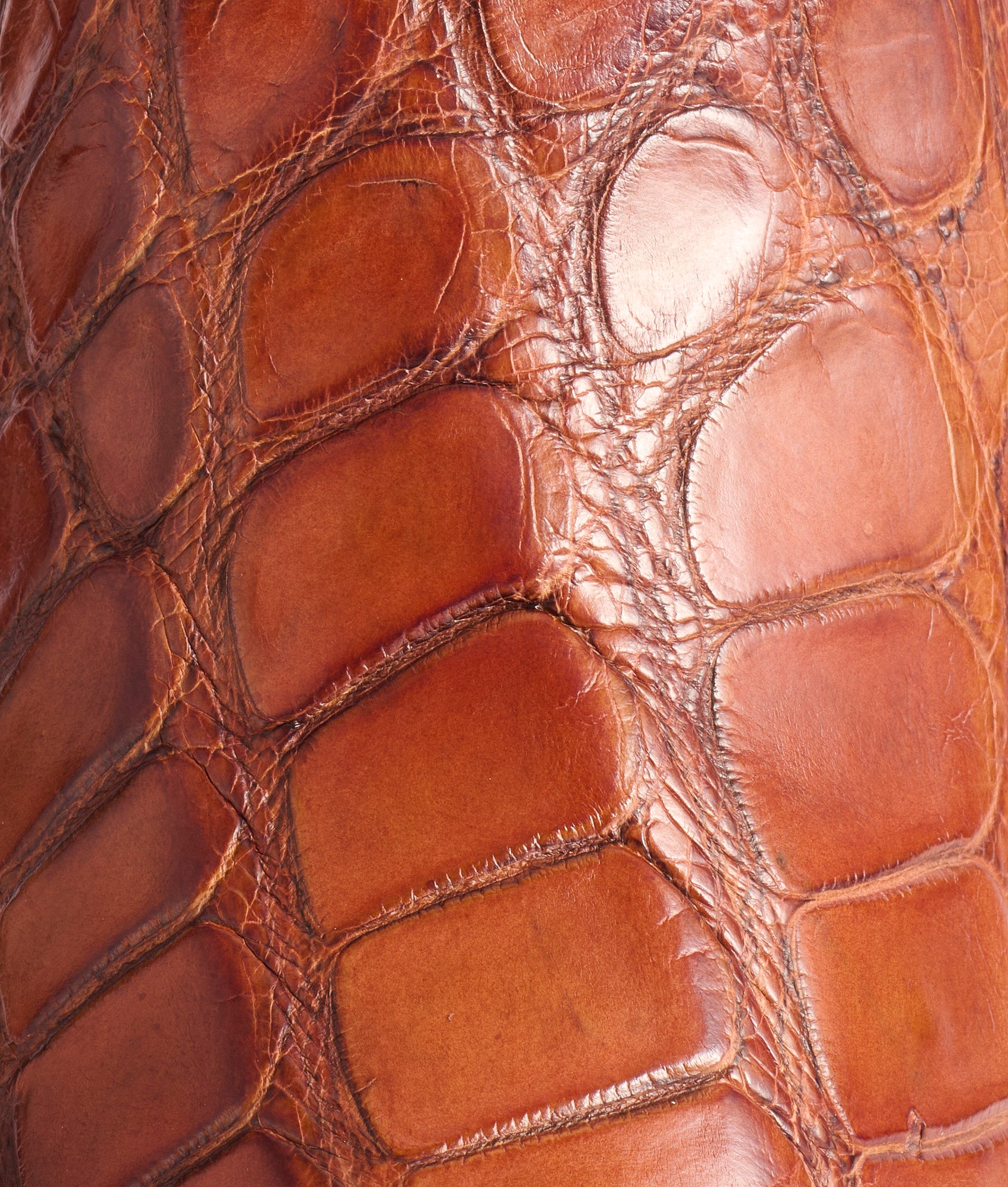 Rio :: Barrel Brown + Tan - Image 8