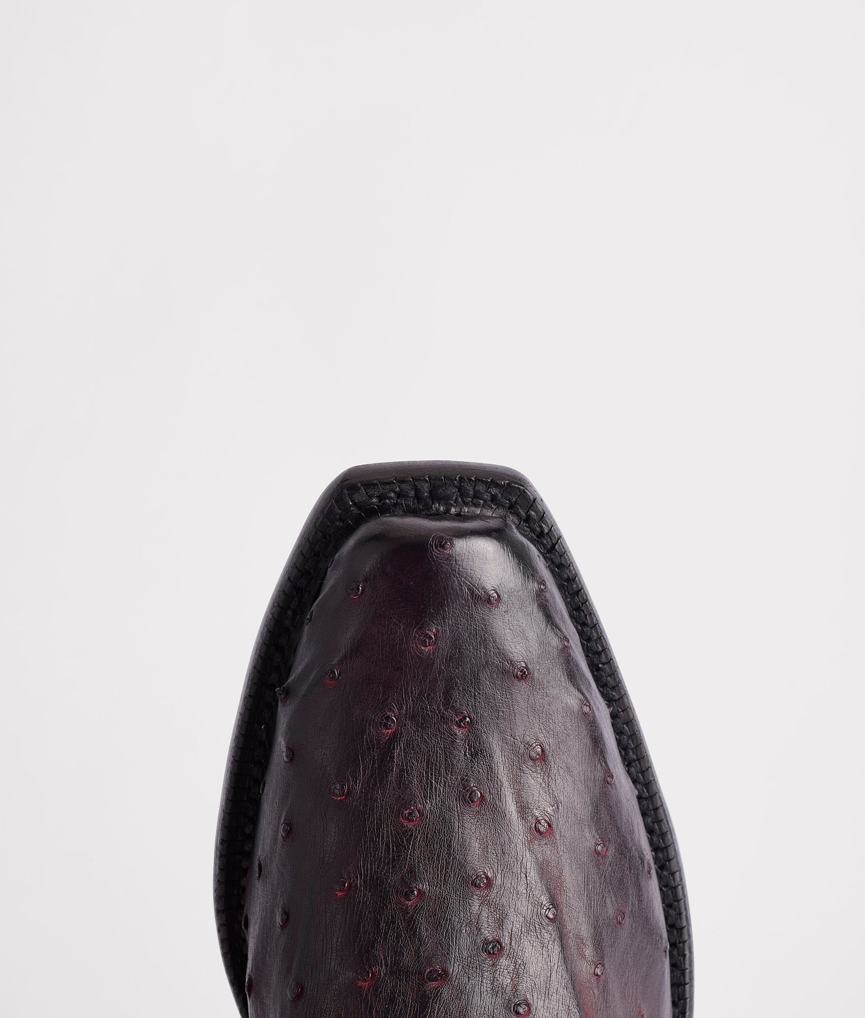 Elgin :: Black Cherry + Black - Image 8