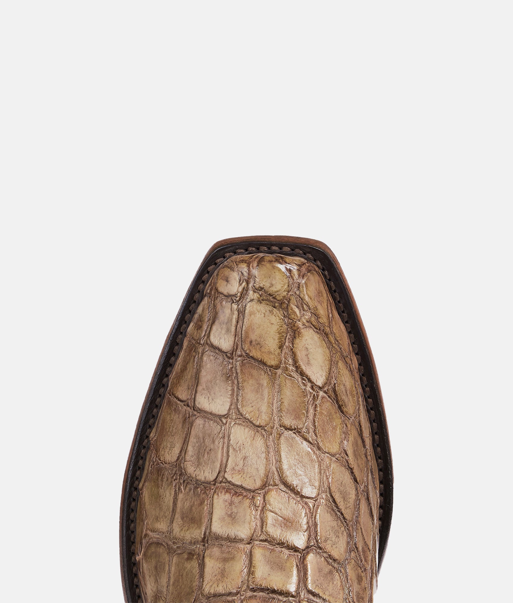 Johannes :: Chocolate - Image 7