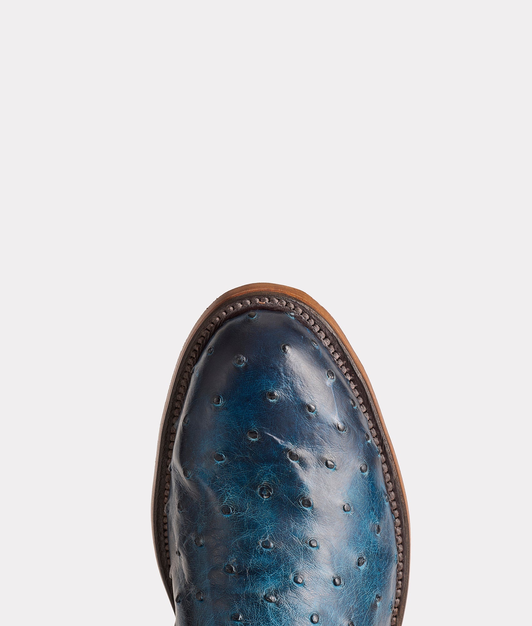 Hudson :: Navy + Chocolate - Image 7
