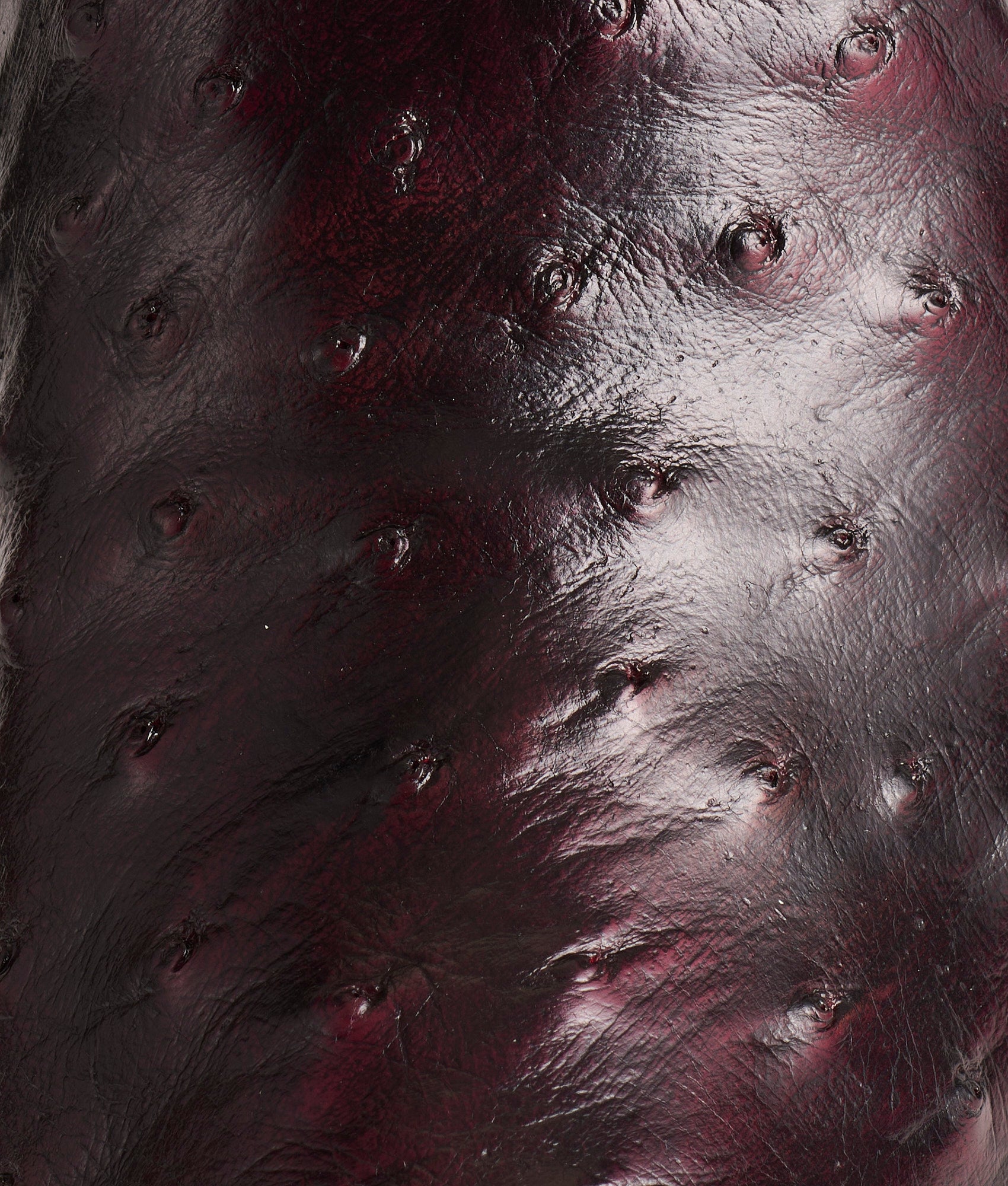Josephine :: Black Cherry - Image 10