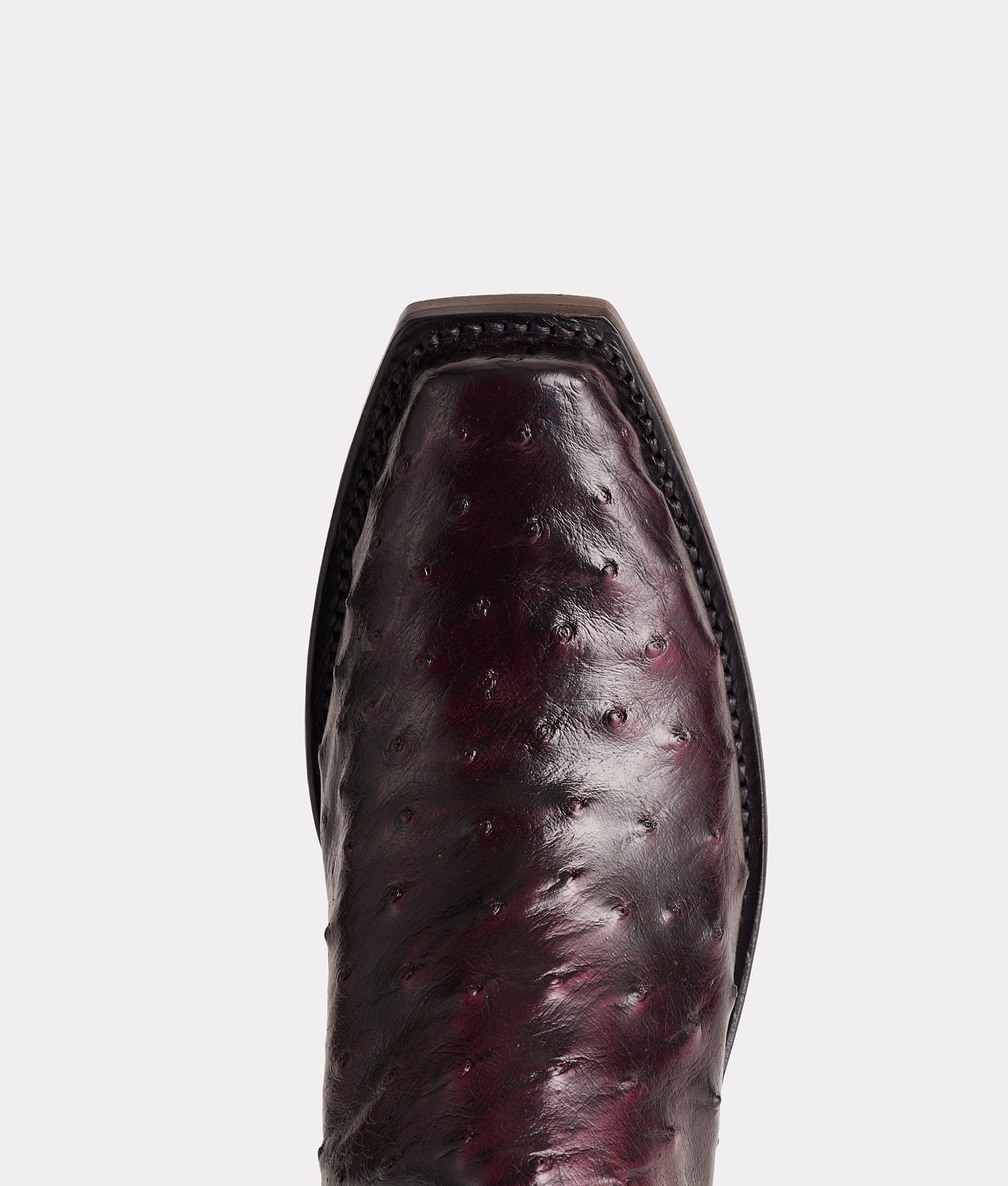 Josephine :: Black Cherry - Image 8