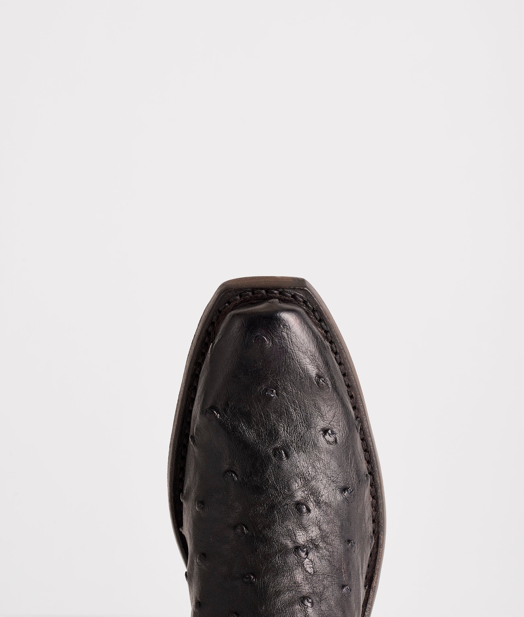 Josephine :: Black + Anthracite Grey - Image 7