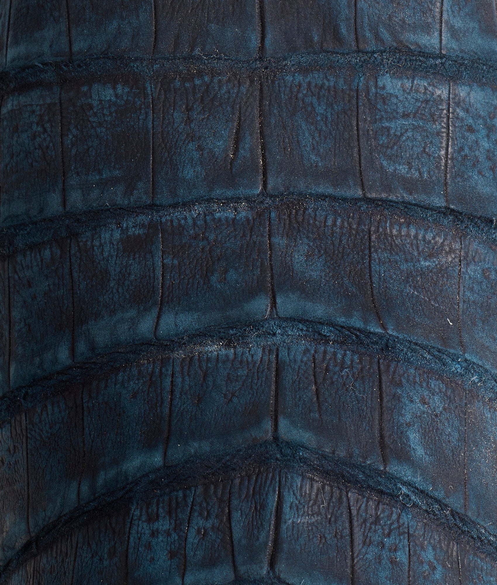 Priscilla Exotic :: Navy - Image 10